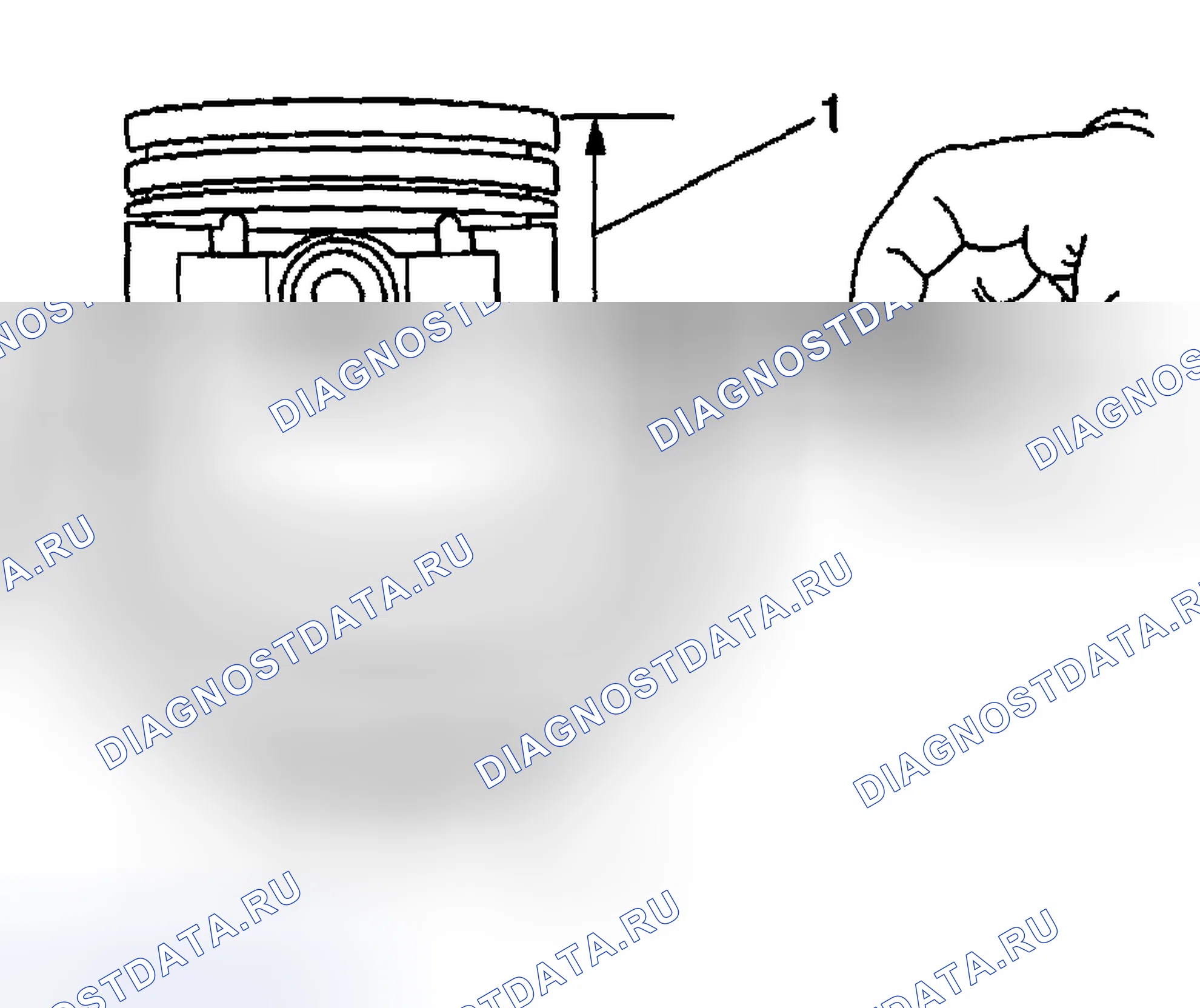 Рис. 1546: Процедура измерения диаметра поршня. Hyundai Terracan I