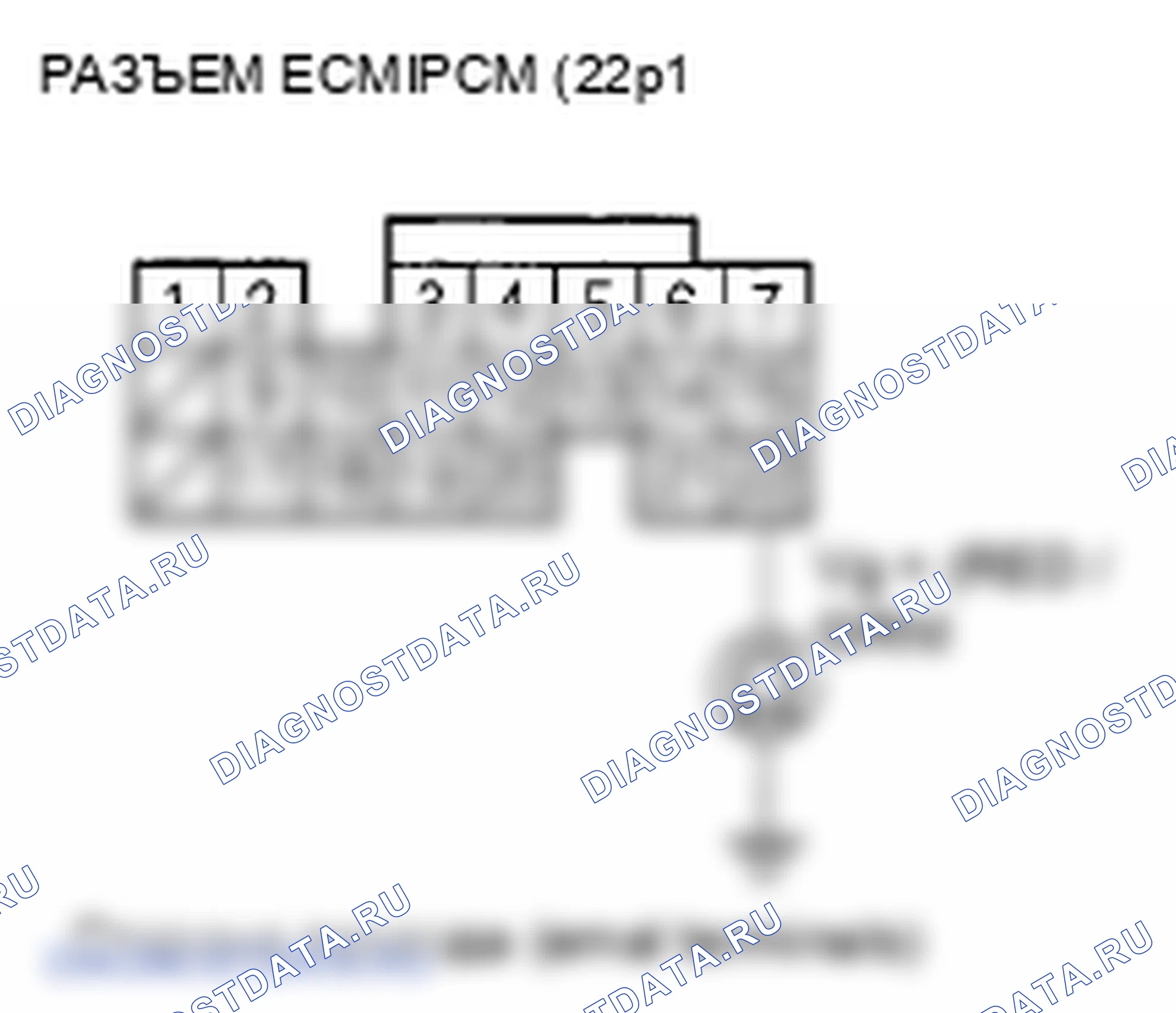 Рис. 361. Honda Element YH2 рестайлинг 2