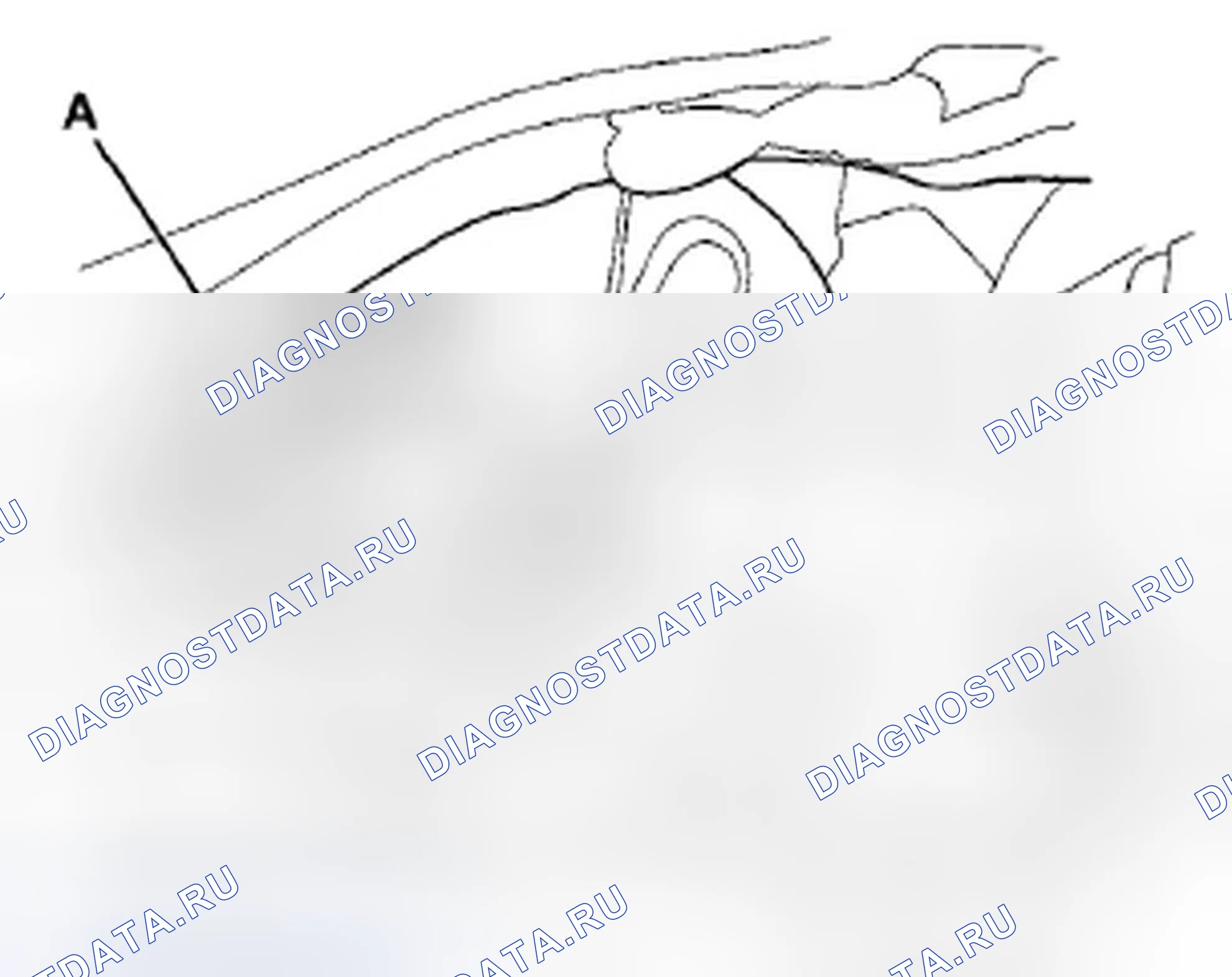 Рис. 98. Honda Crosstour I