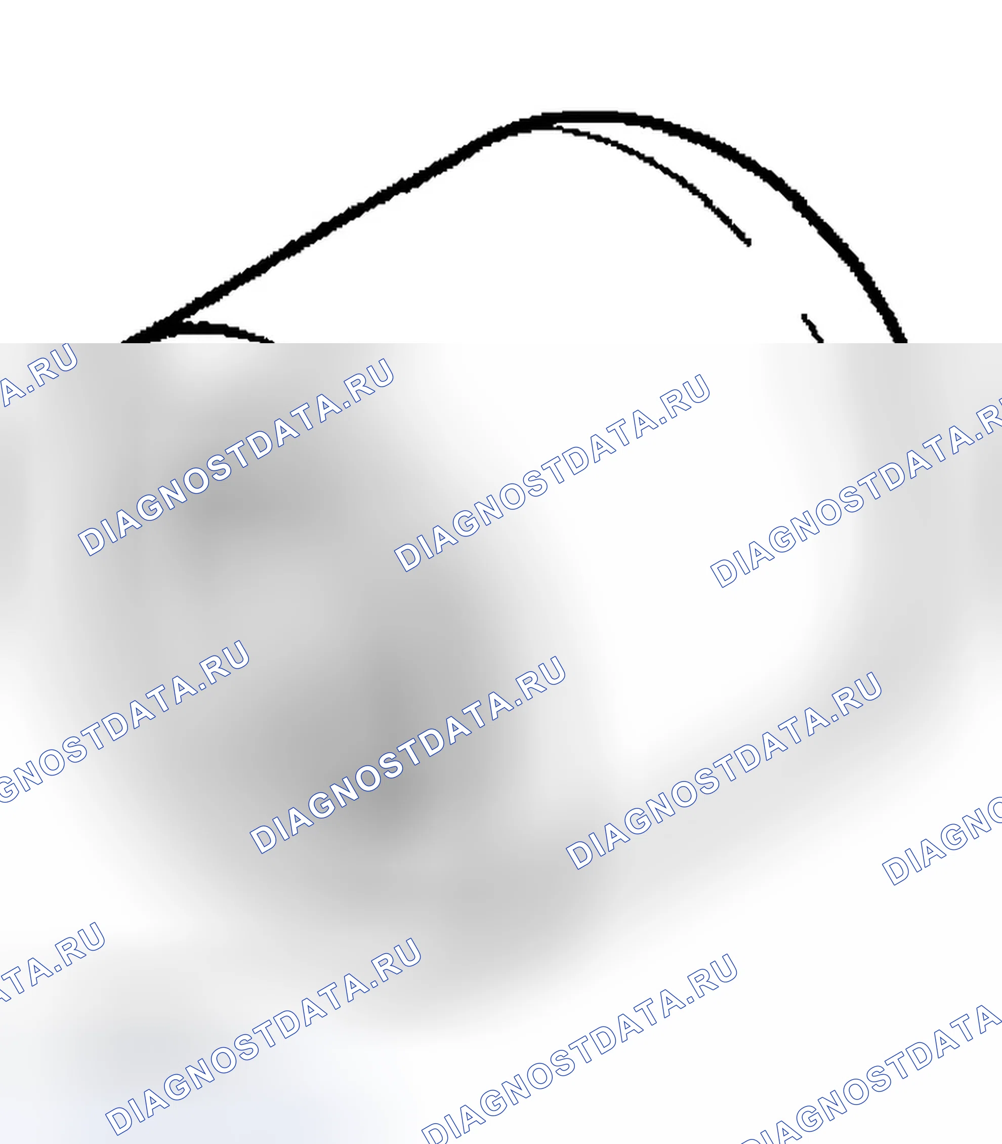 Рис. 20. Hyundai Tiburon II рестайлинг