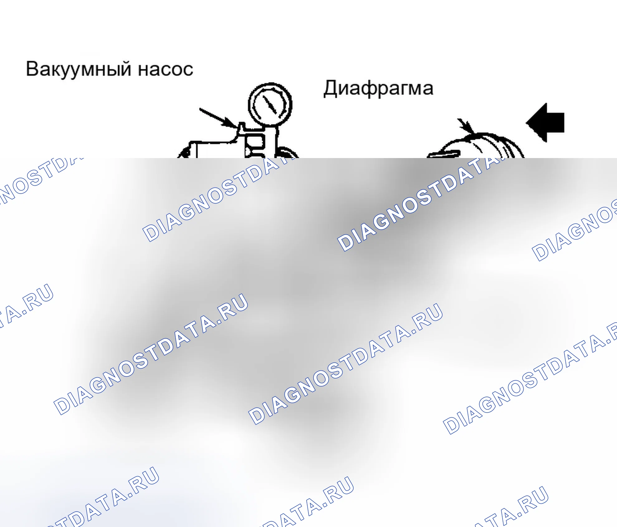 Рис. 4: Испытательный поток, электромагниты внешней и рециркуляции. Honda Accord III