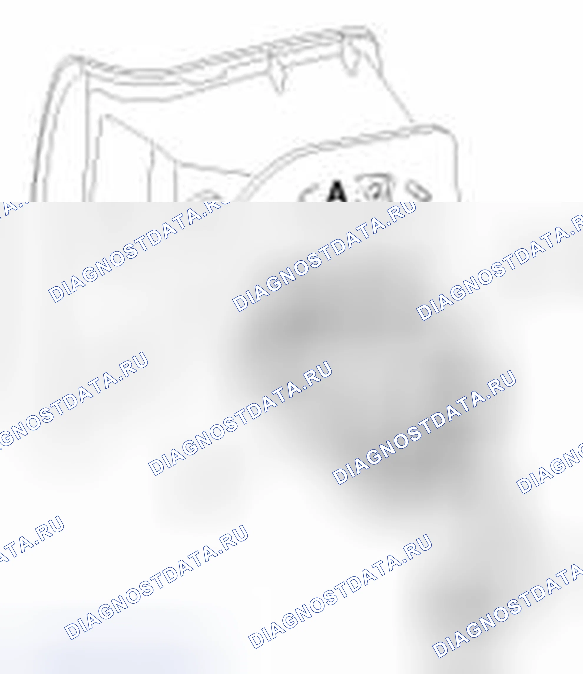 Рис. 31. Haval Beast (Shenshou) I