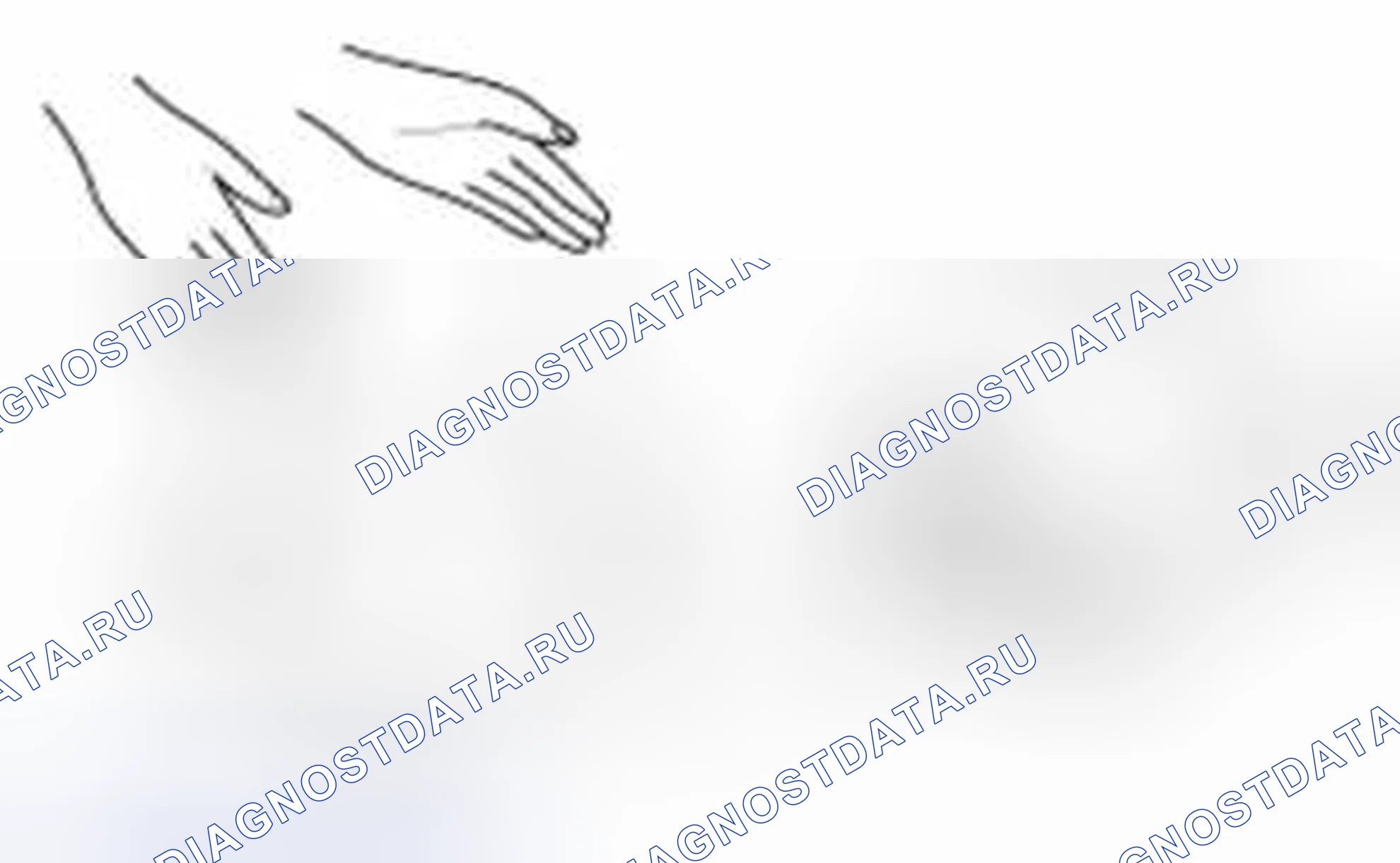 Рис. 21. Haval Beast (Shenshou) I