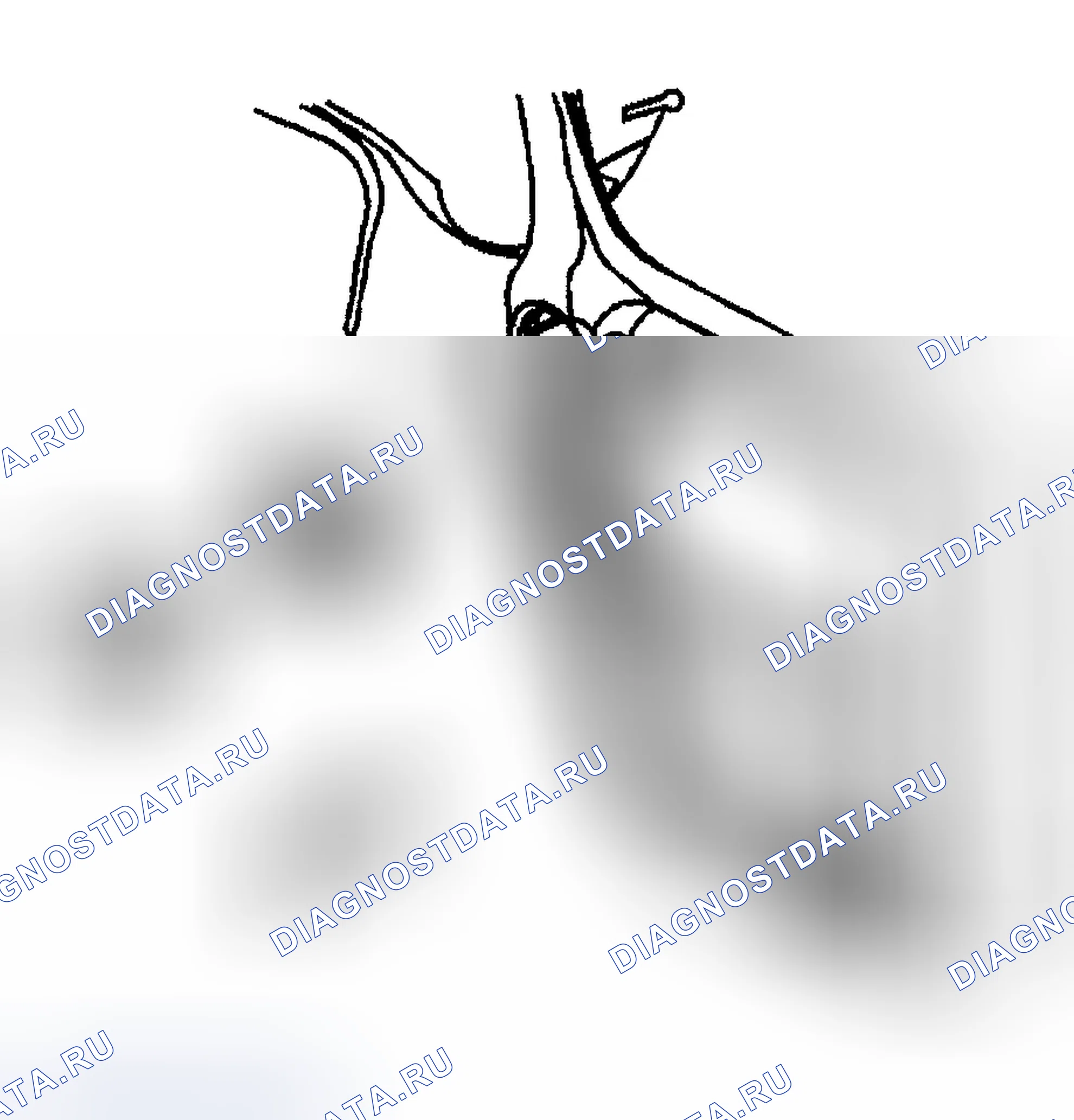Рис. 420. Chevrolet TrailBlazer I