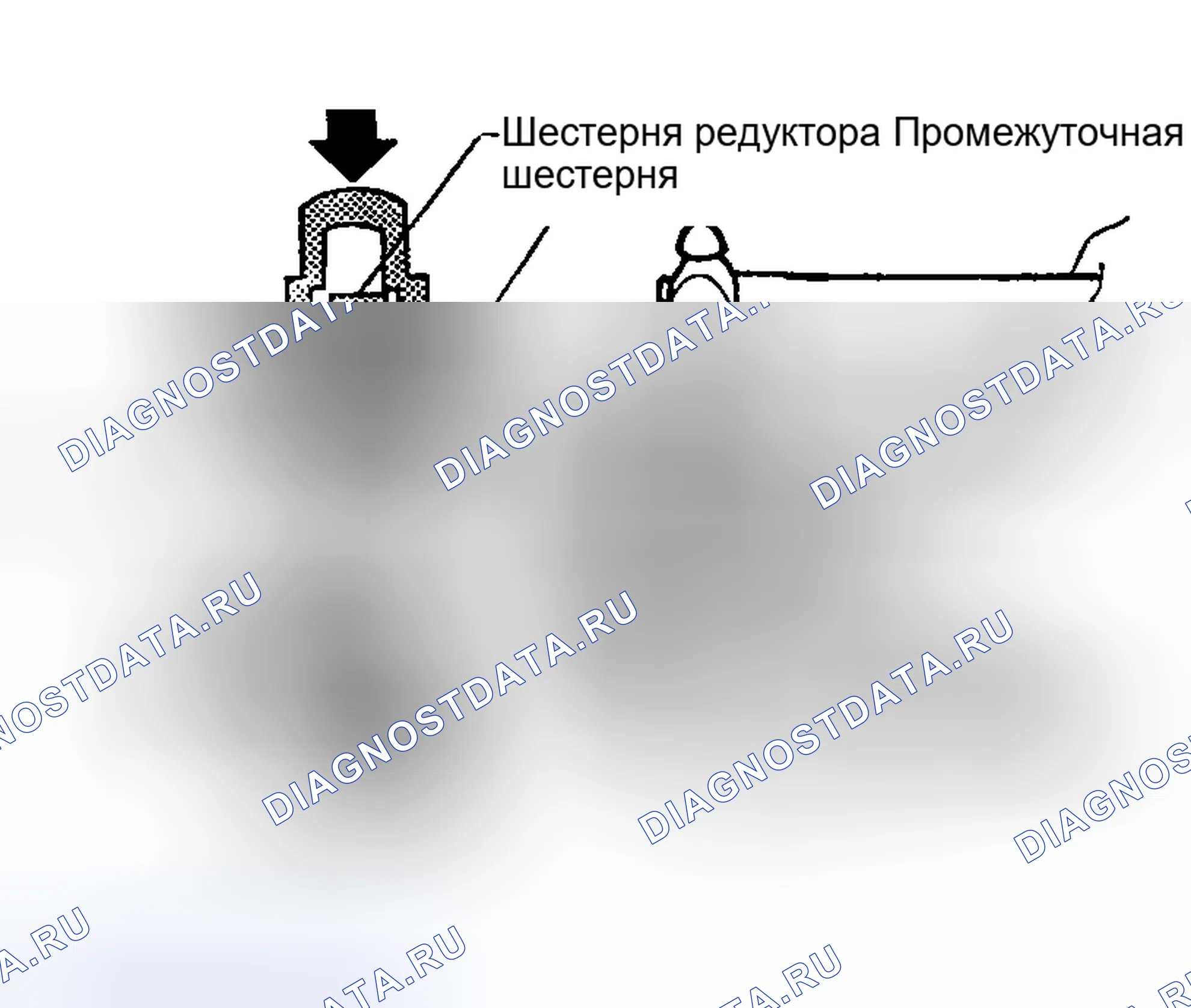 Рис. 1776. Nissan Sentra B15
