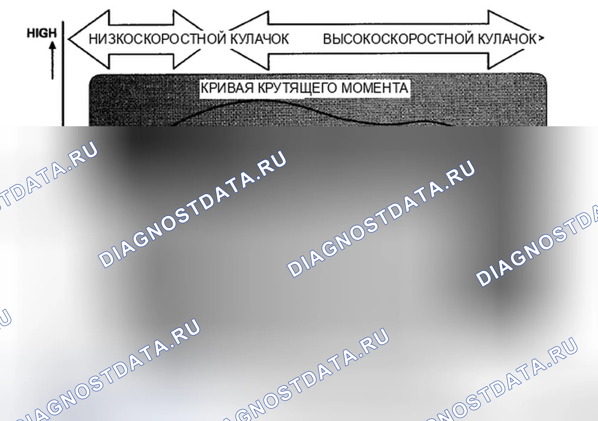 Рис. 575: VTEC / VTC. Honda Crosstour I