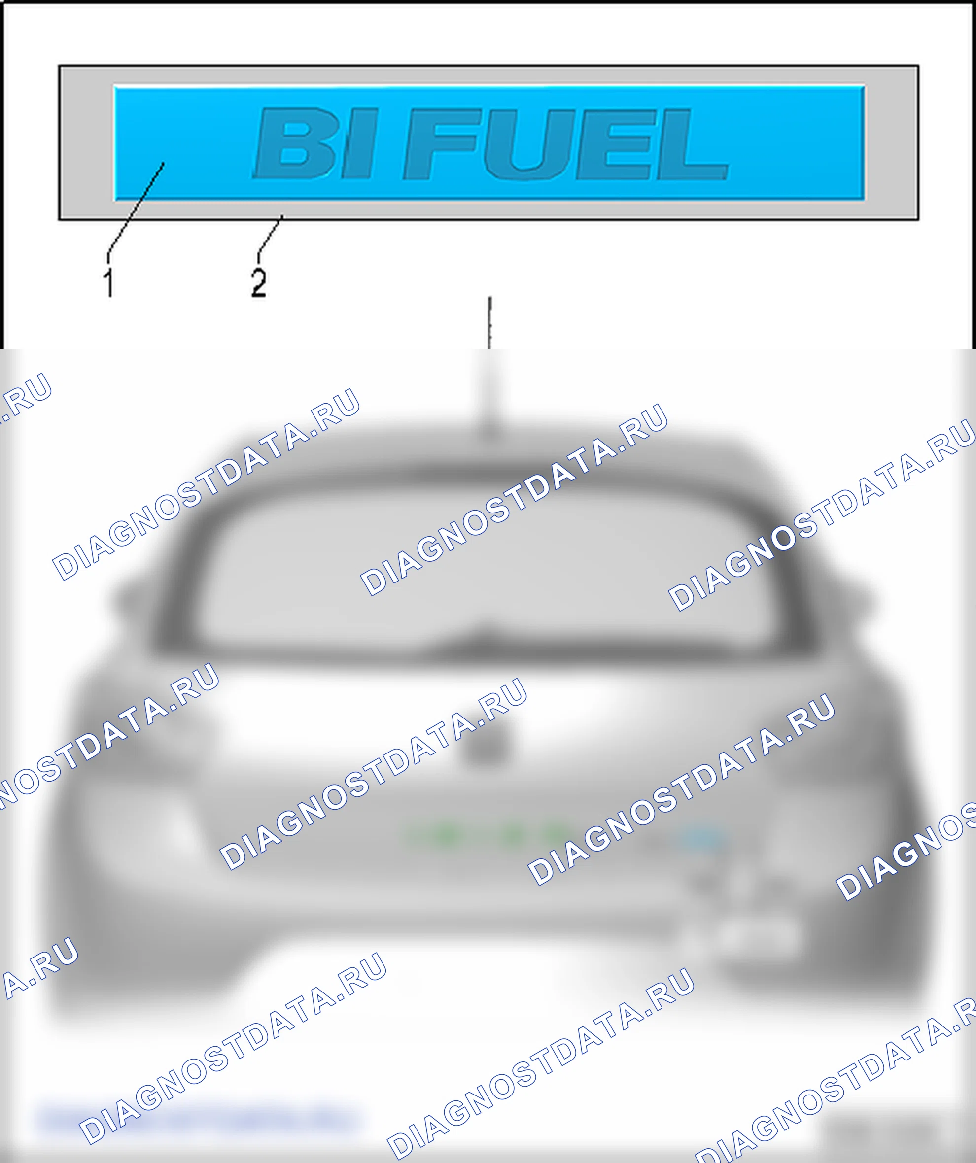 Полоски и эмблемы. SEAT Ibiza IV