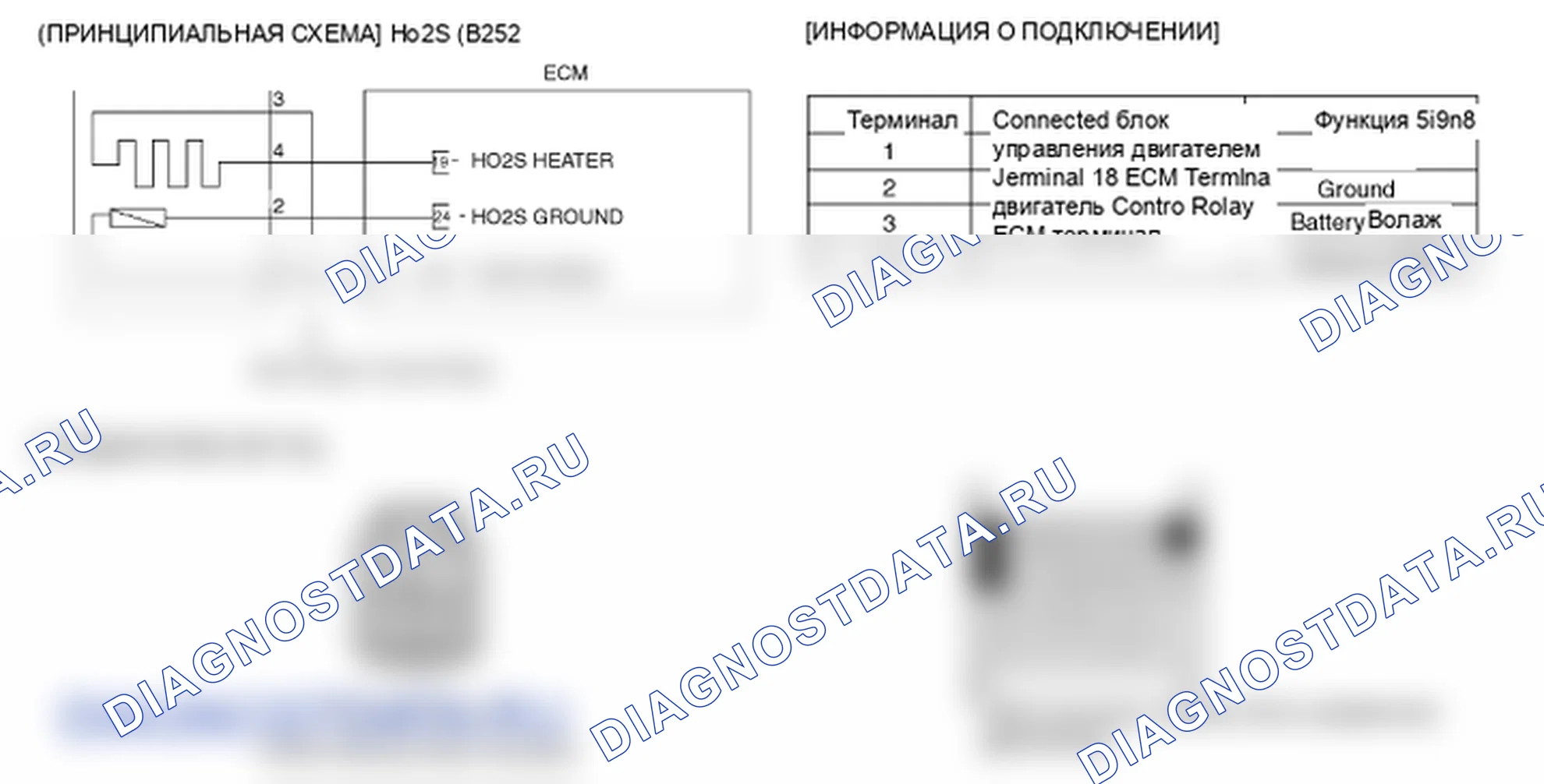 Фрагмент электросхемы: P0058. Kia Sportage KM