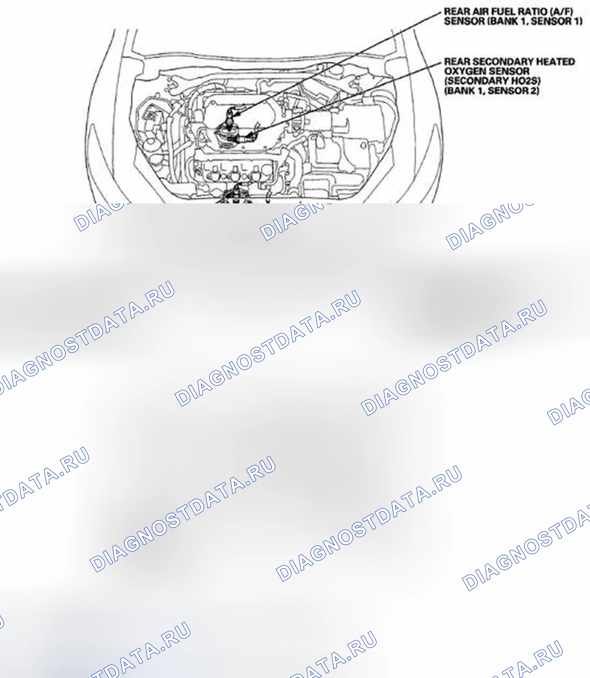 Рис. 327. Honda Crosstour I