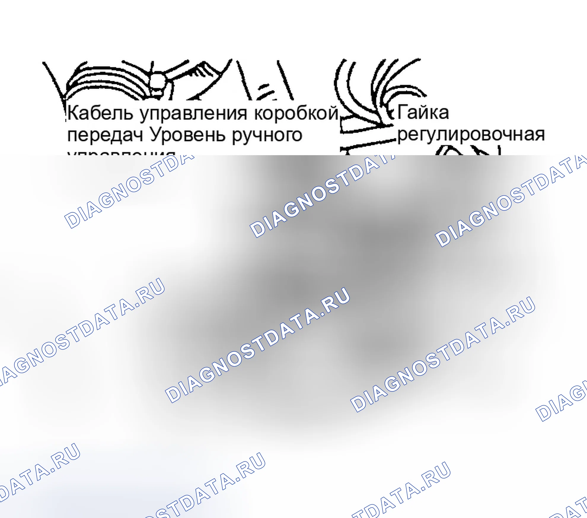 Рис. 109: ПЕРЕКЛЮЧАТЕЛЬ ДИАПАЗОНА трансмиссия И РЕГУЛИРОВКА ТРОСА УПРАВЛЕНИЯ. Hyundai Elantra III