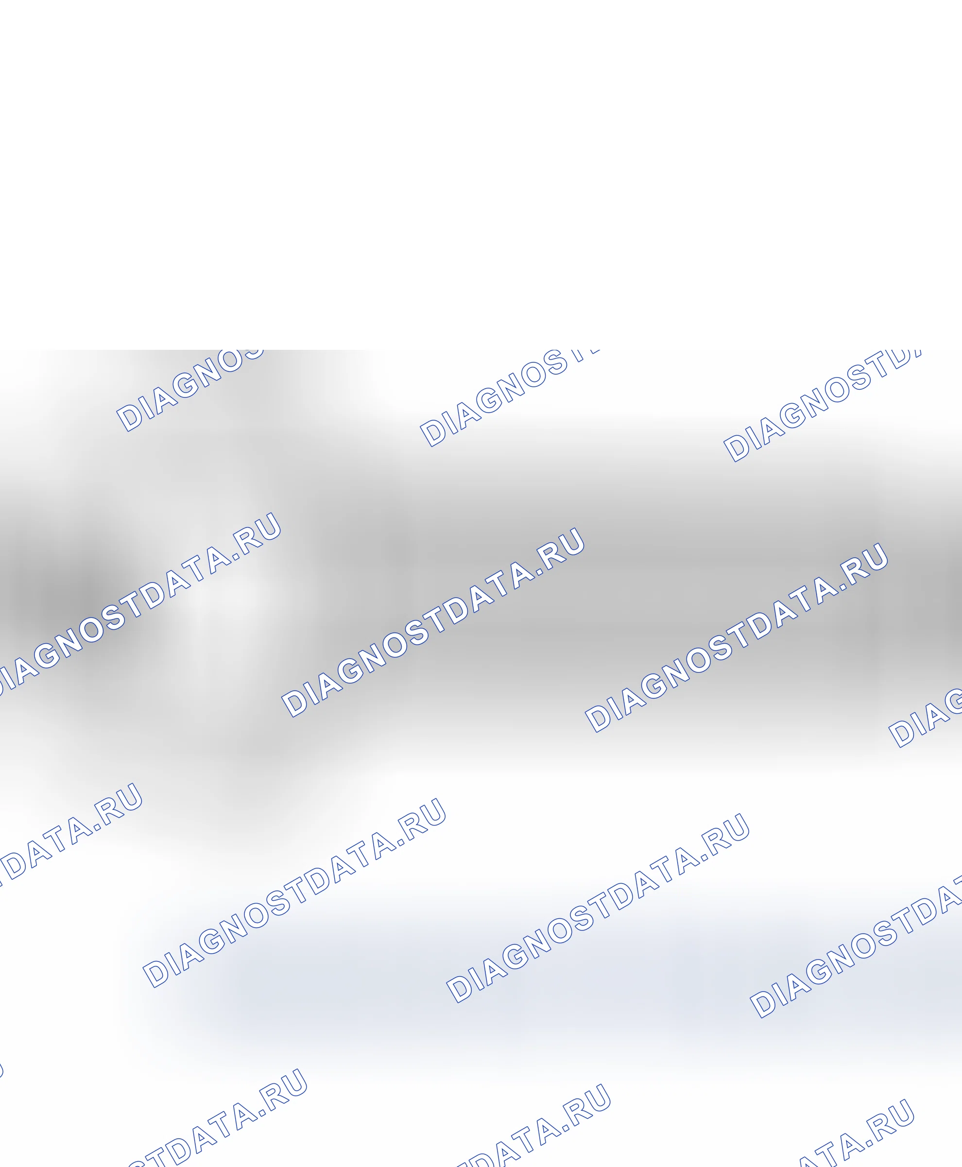 Общая информация. Hyundai Santafe Sport DMA