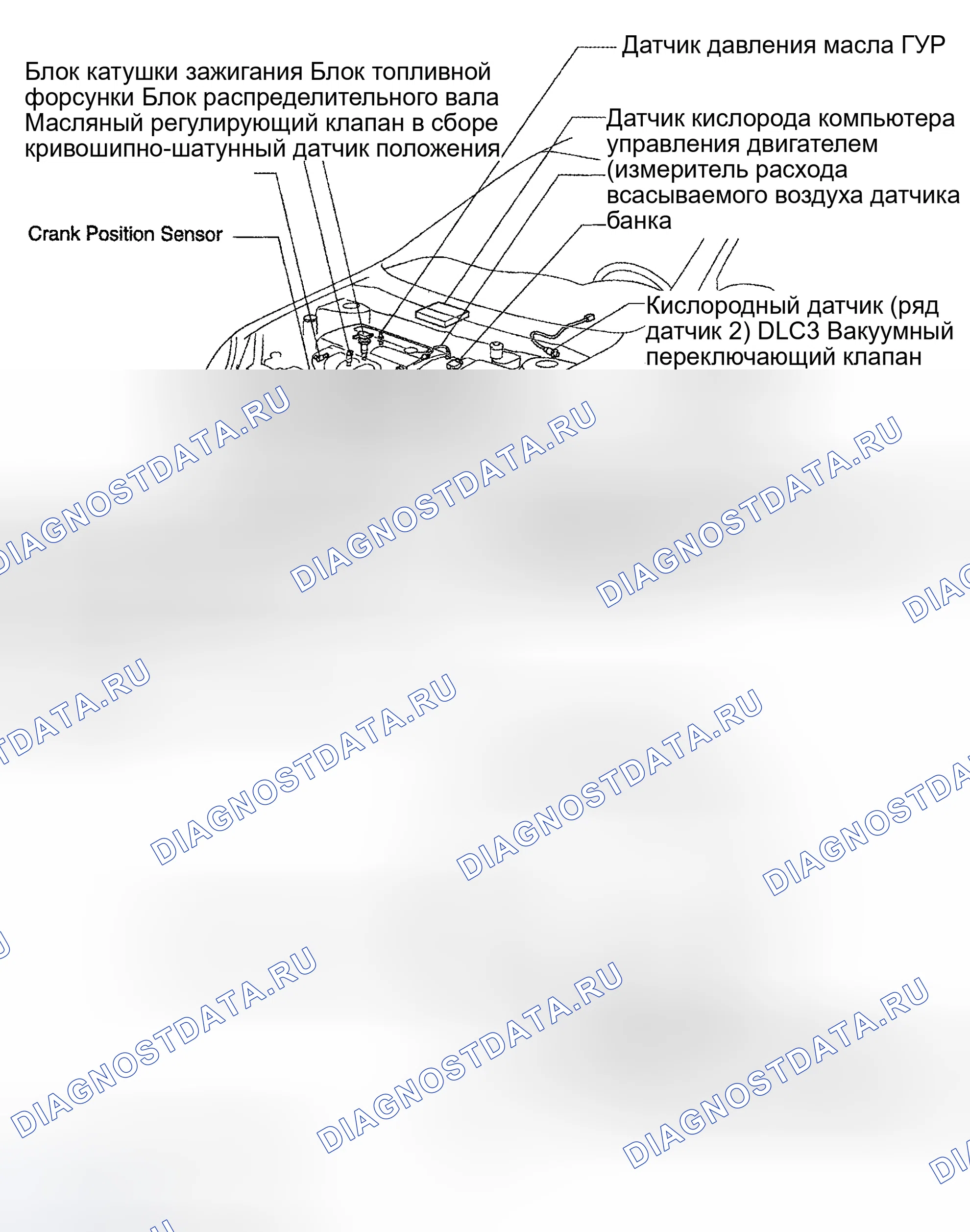 Рис. 322. Toyota MR2 W30