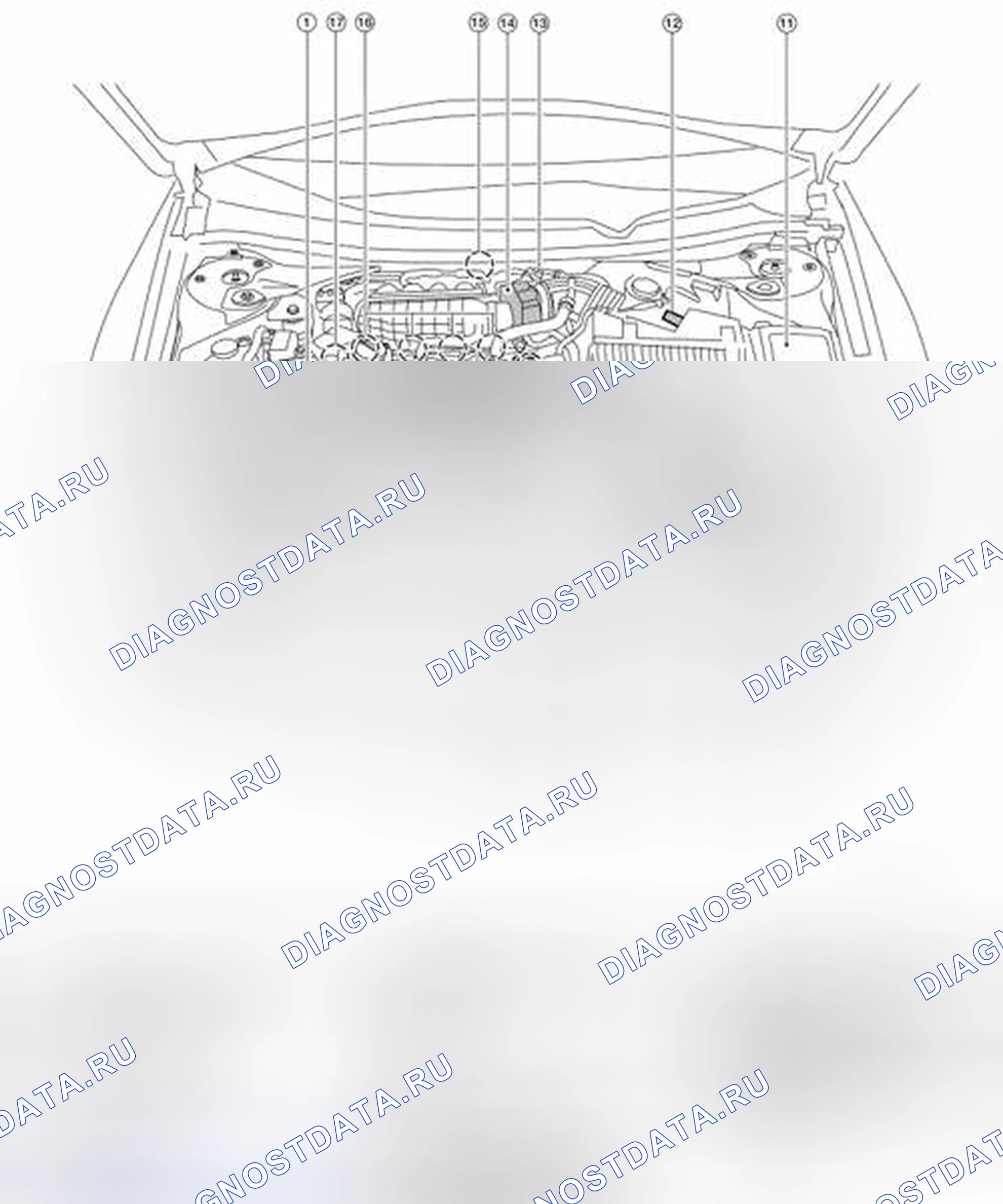 Рис. 178: Расположение компонентов. Nissan Altima L33