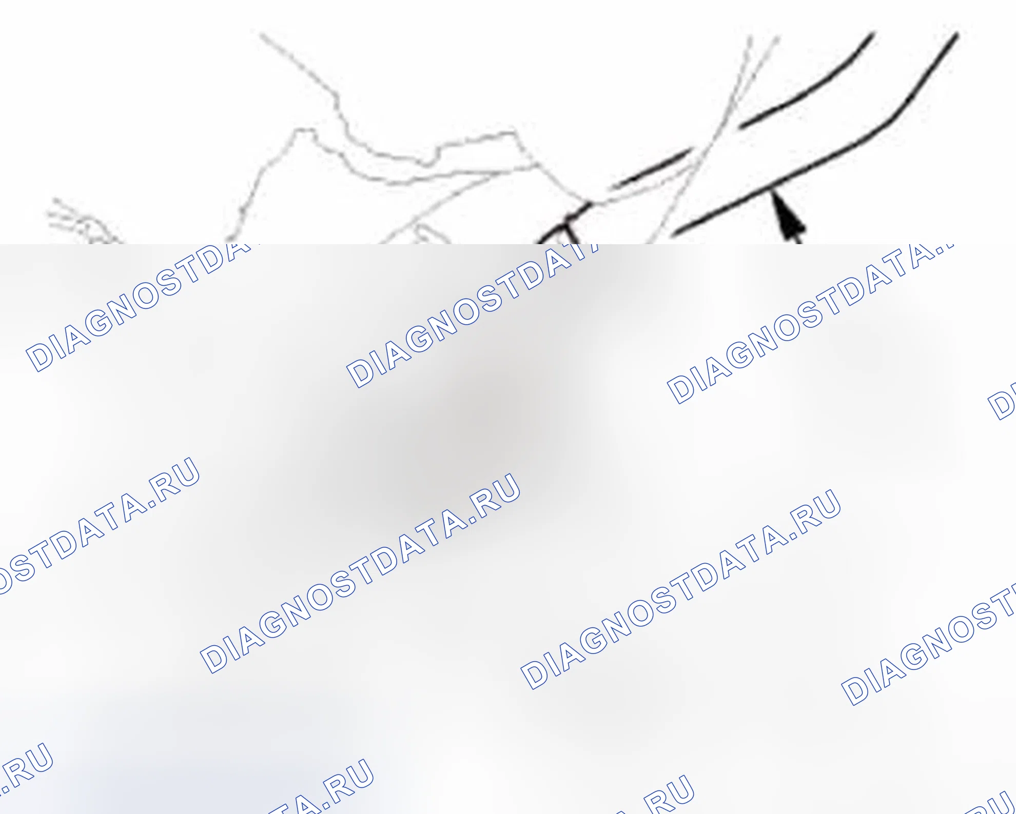 Рис. 227. Honda Civic IX