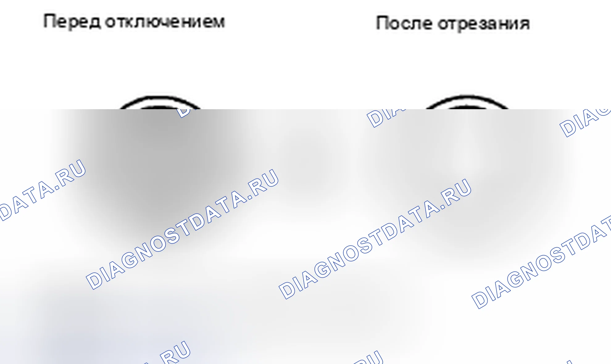 Рис. 627. Toyota Corolla X