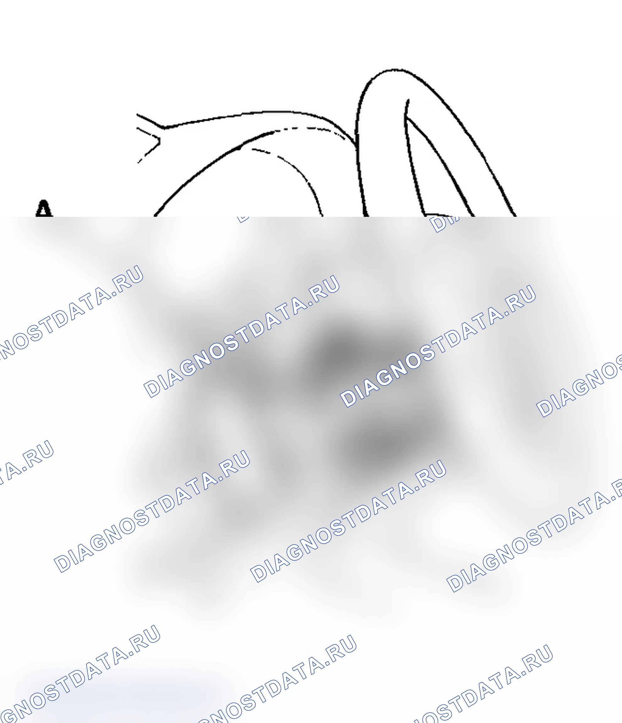 Рис. 111. Acura RSX I
