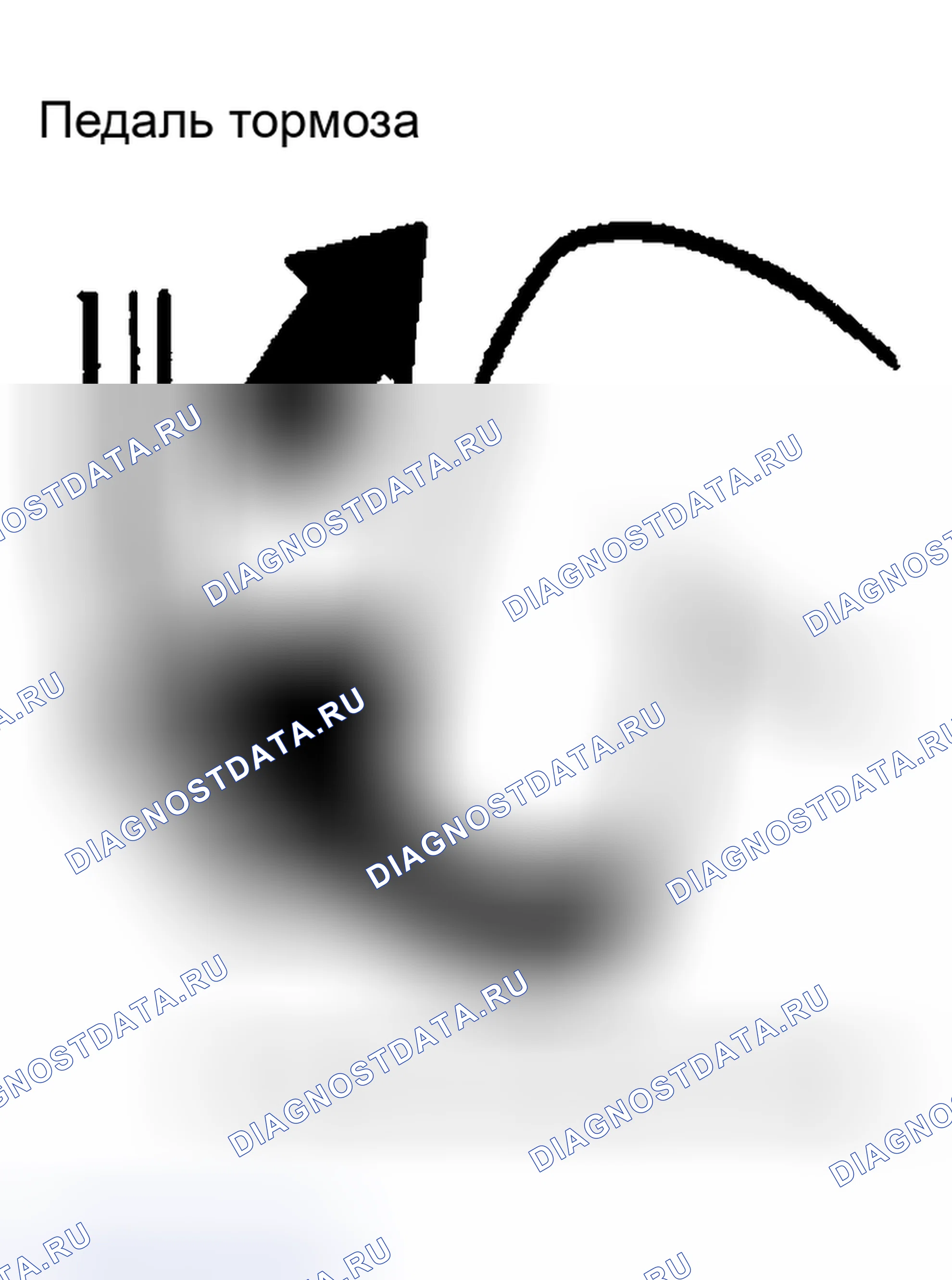 Рис. 1163. Nissan Sentra B15
