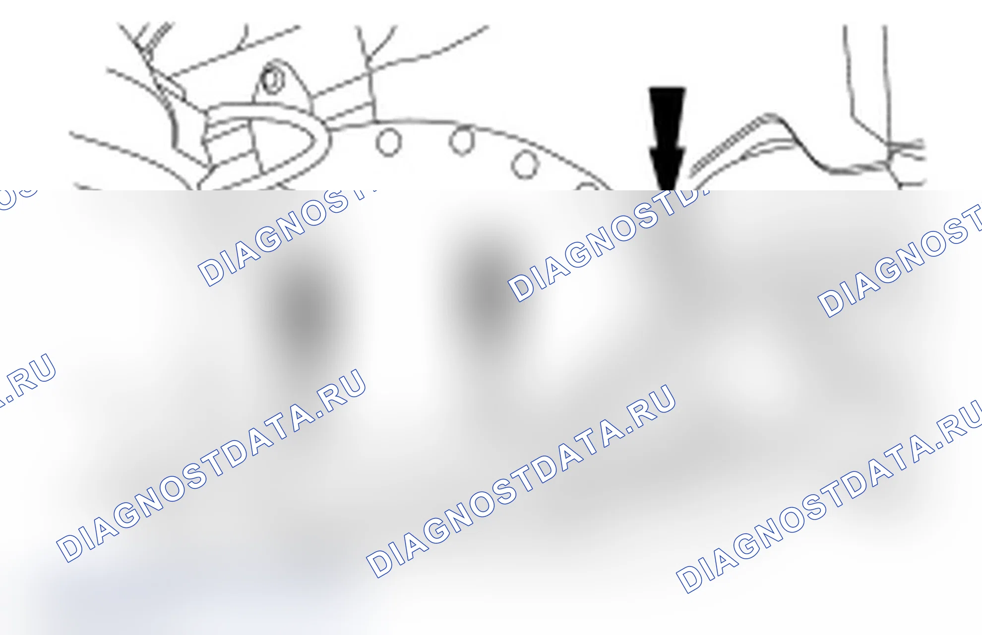 Рис. 346. Ford Five Hundred I