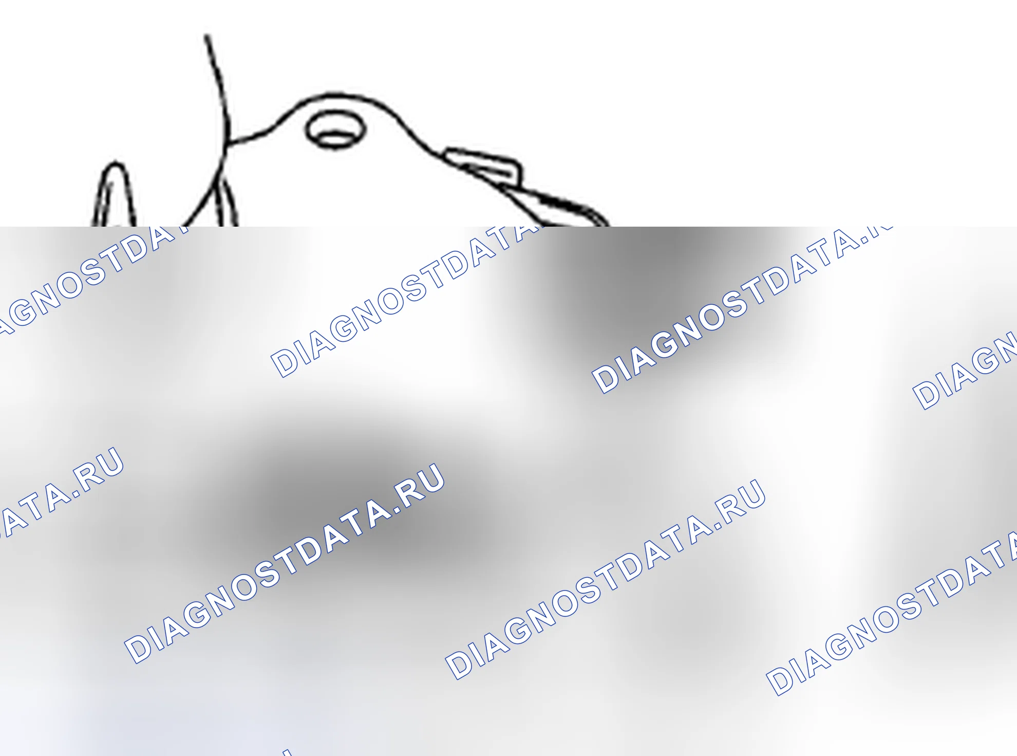 Рис. 57. Subaru Impreza GH