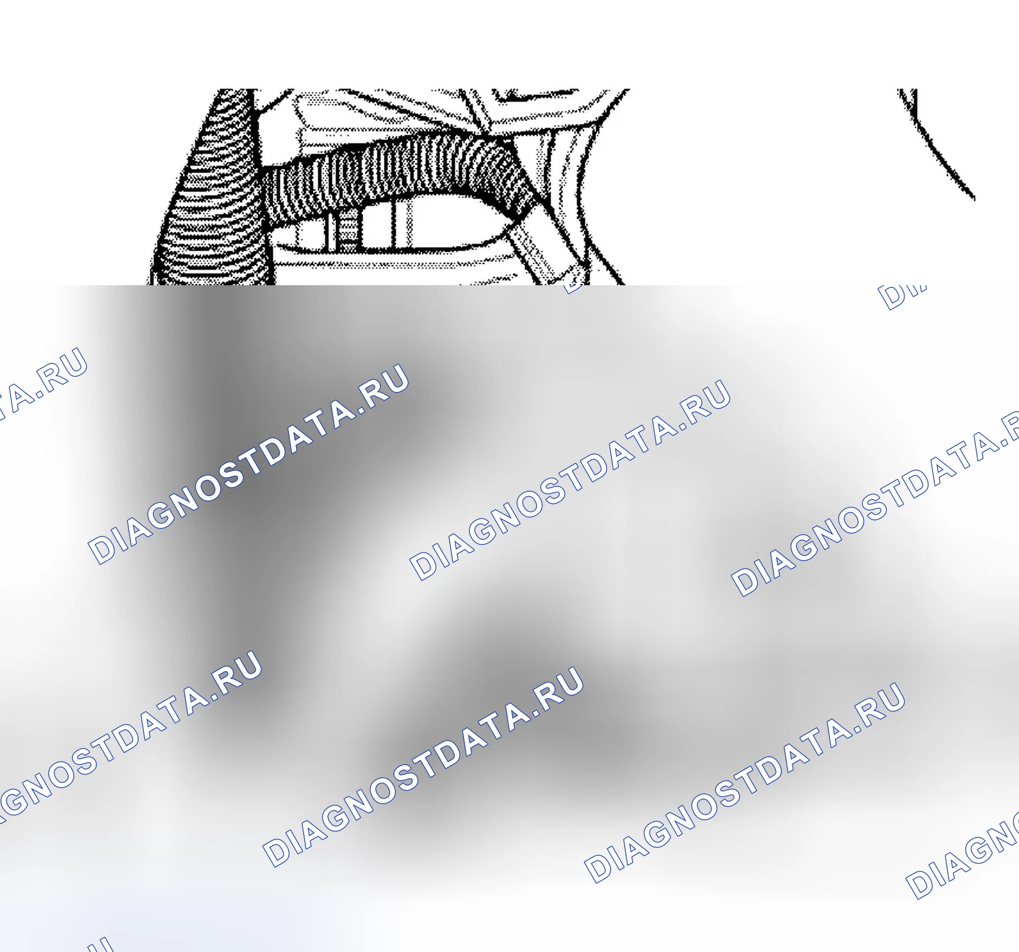 Рис. 155: Код гидротрансформатора. Audi TT 8N рестайлинг