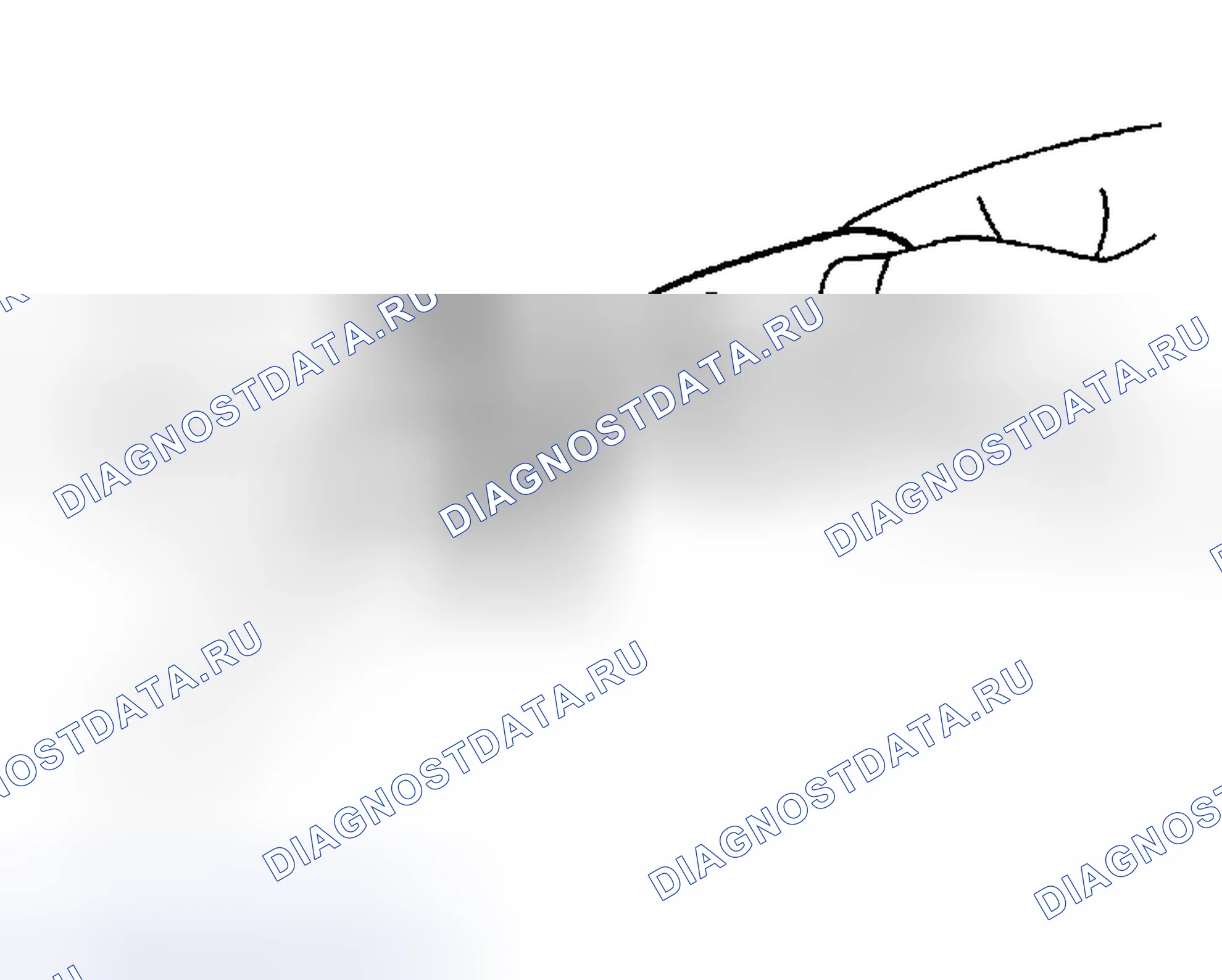 Рис. 184: ЗАМЕНА. Toyota Highlander I