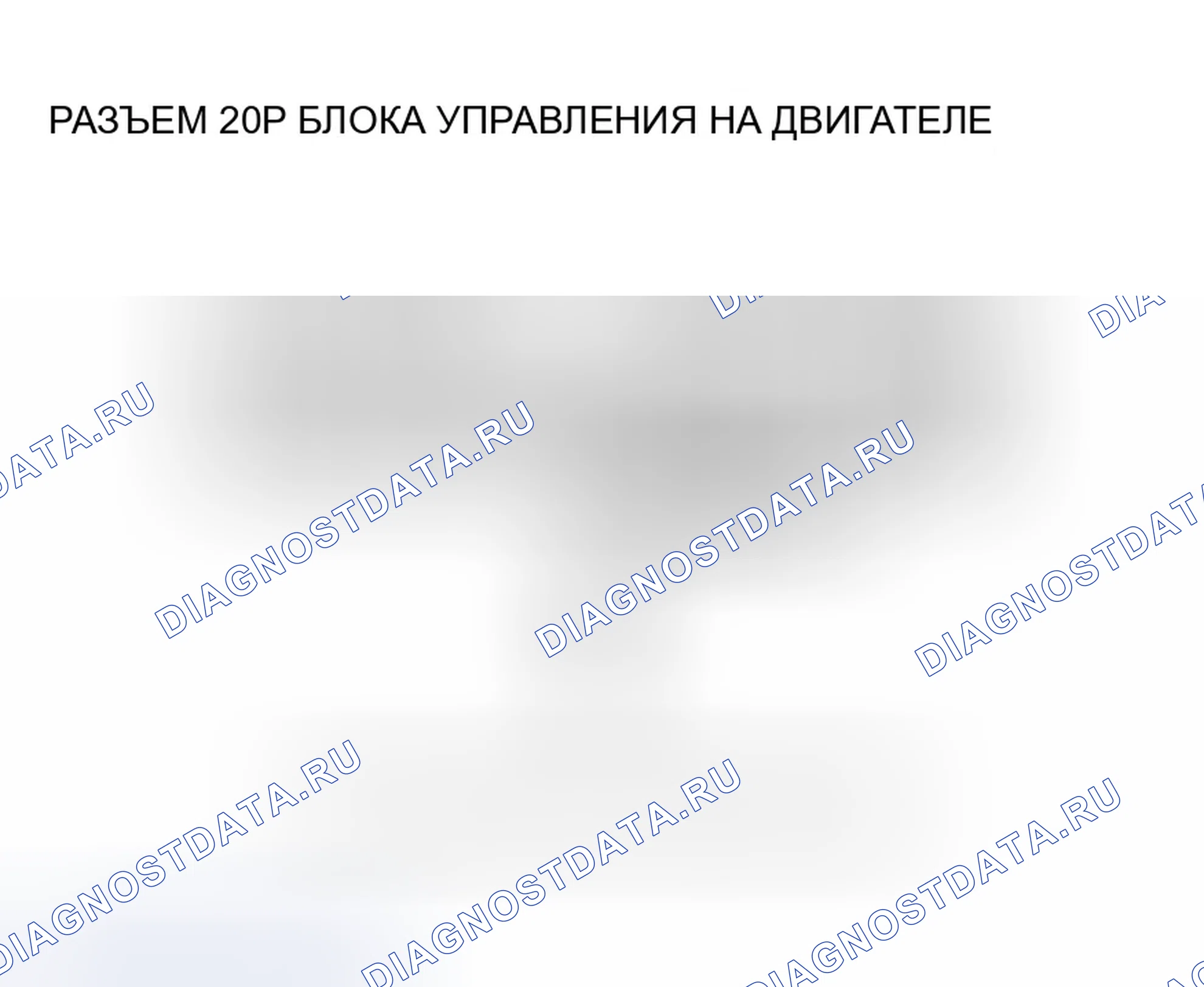 Рис. 593. Honda Accord VII рестайлинг