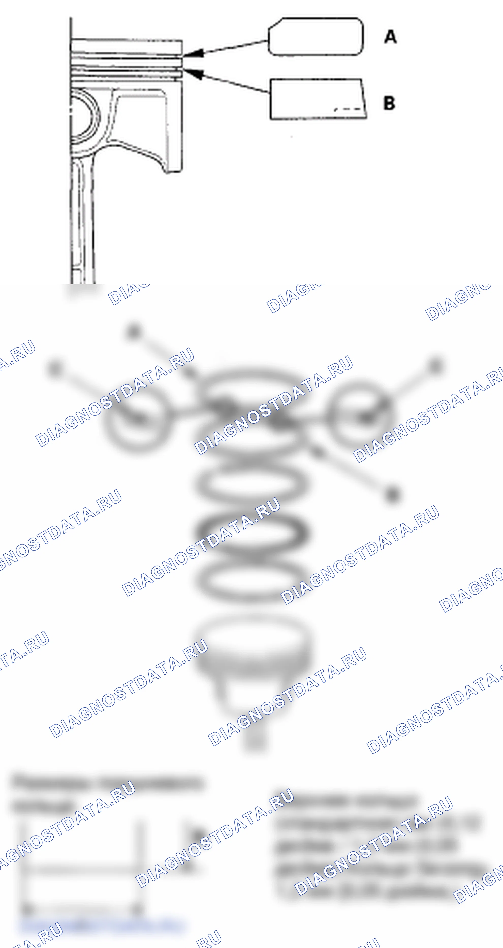 Рис. 238. Honda Element YH2 рестайлинг