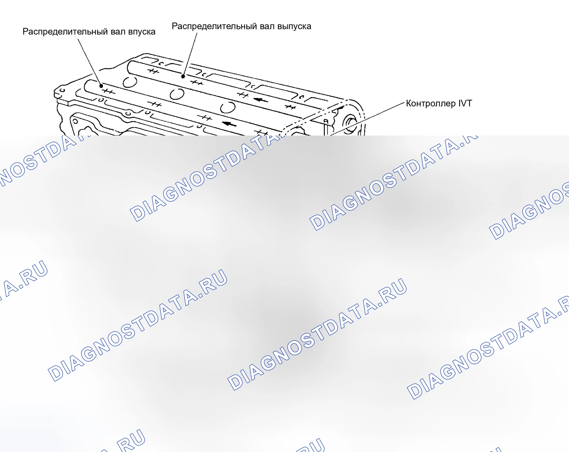 Рис. 14: Схема смазки. Nissan Altima L31 рестайлинг