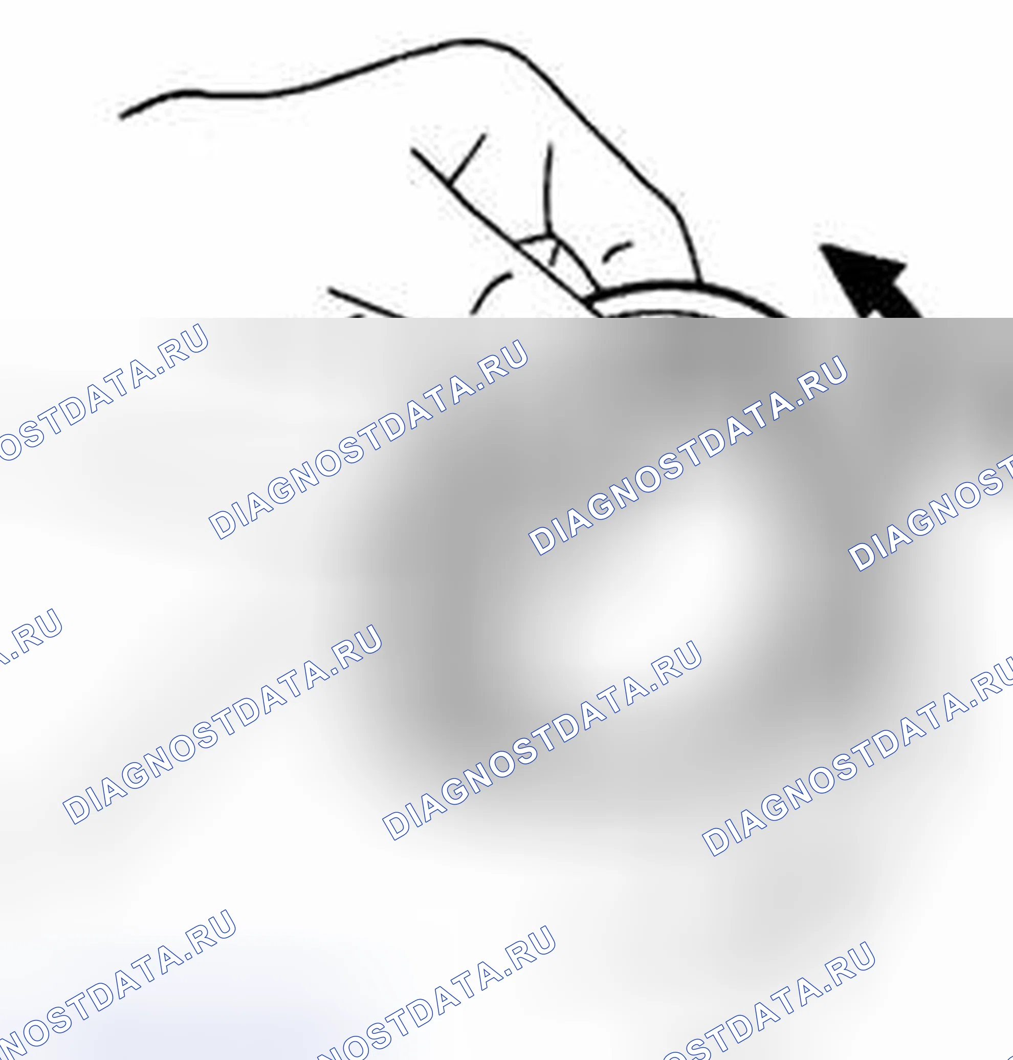 Рис. 268: ПОДШИПНИКИ. Suzuki Equator I