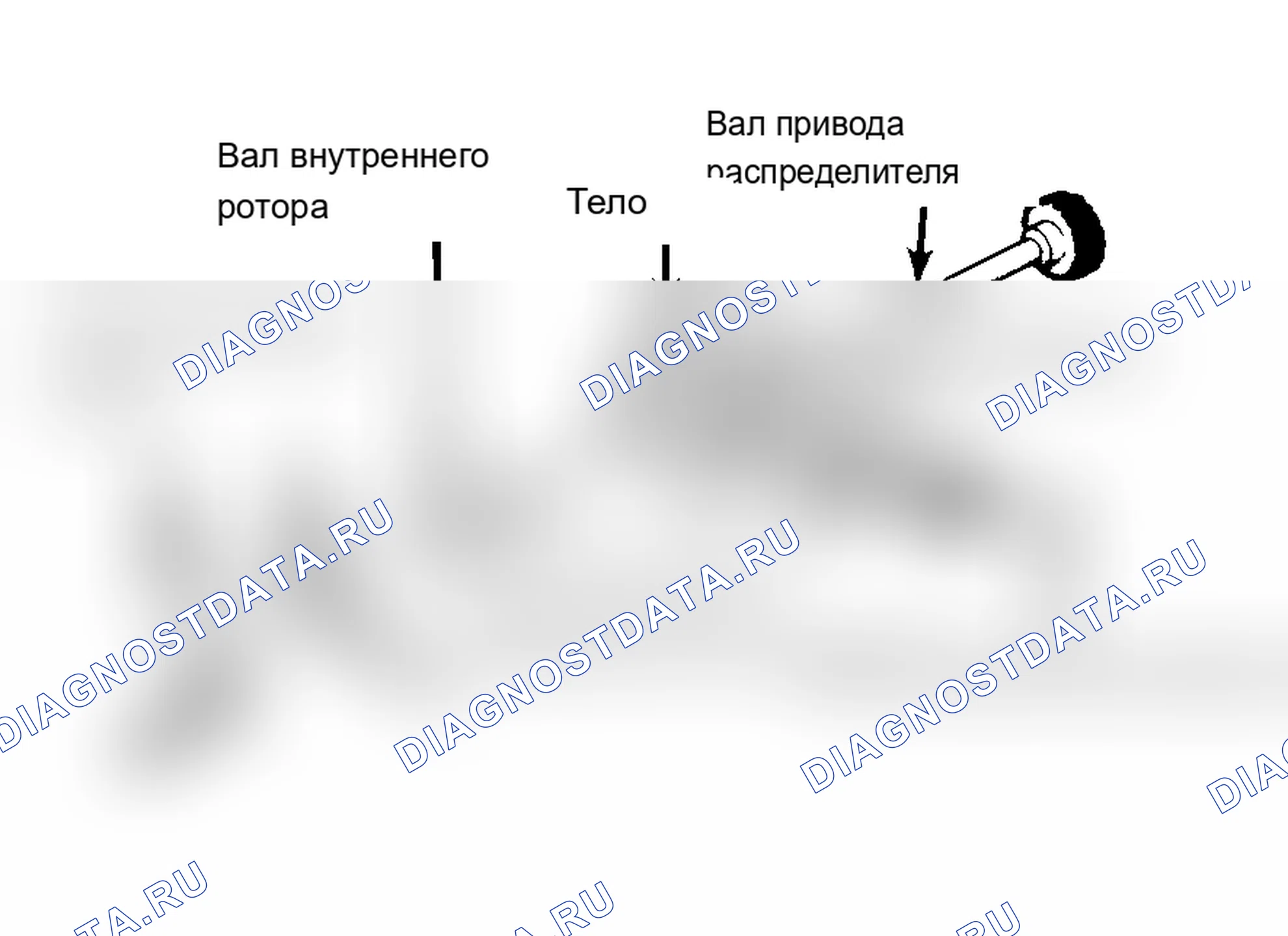 Рис. 32: Типовой масляный насос роторного типа. Acura Integra I