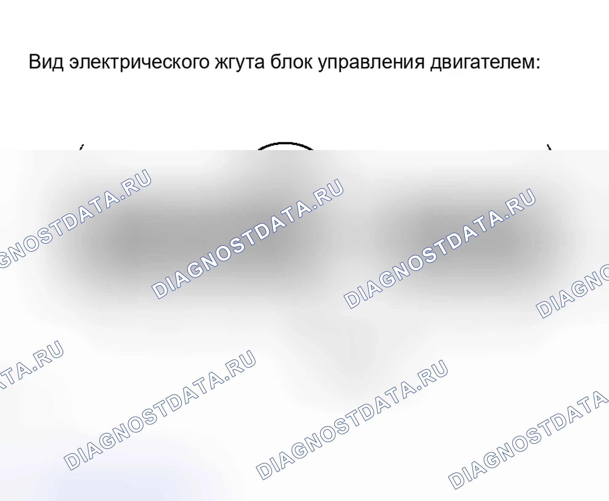 Рис. 301. Lexus RX II