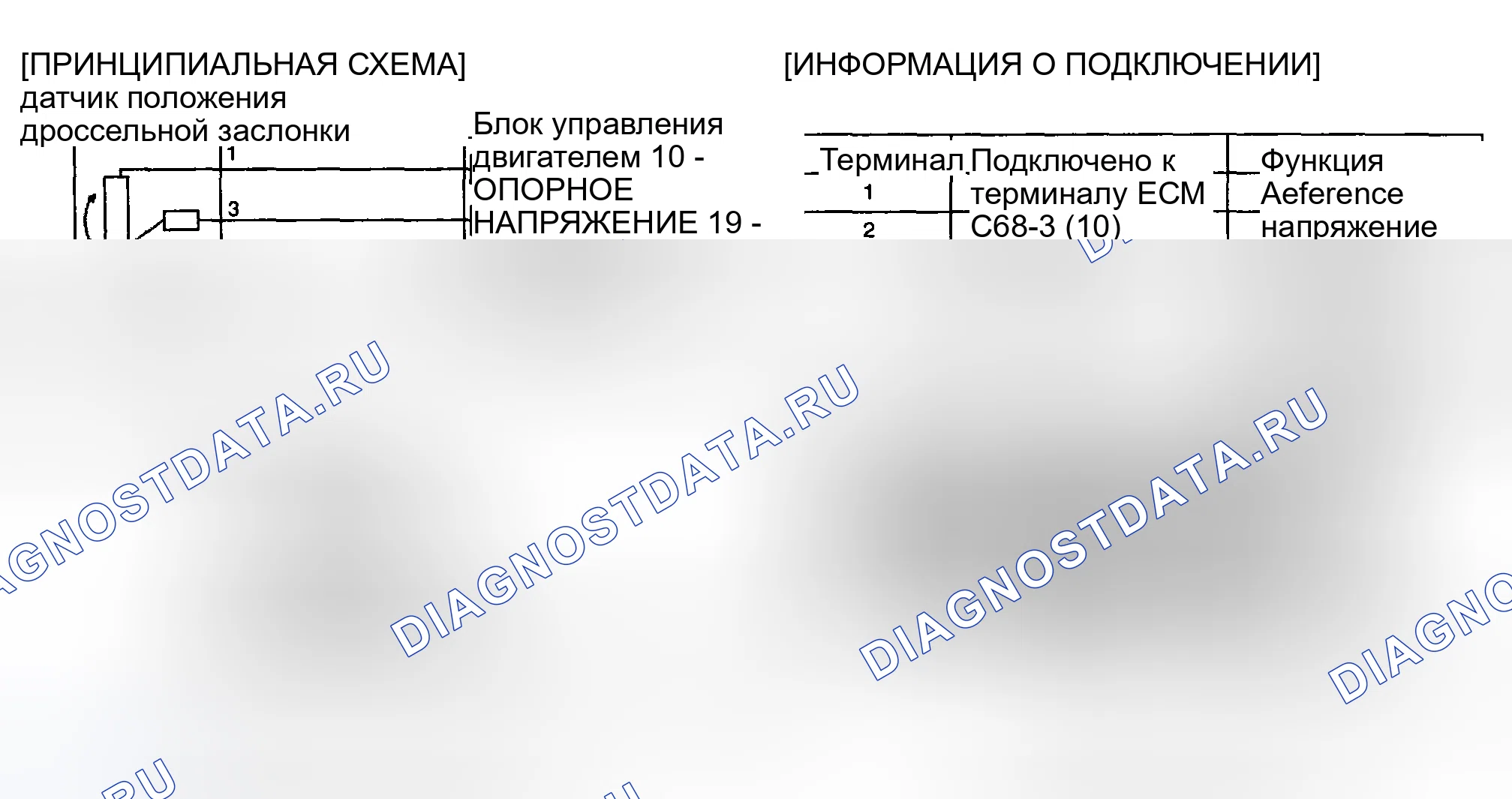 Рис. 250: ПРИНЦИПИАЛЬНАЯ СХЕМА. Kia Sportage II