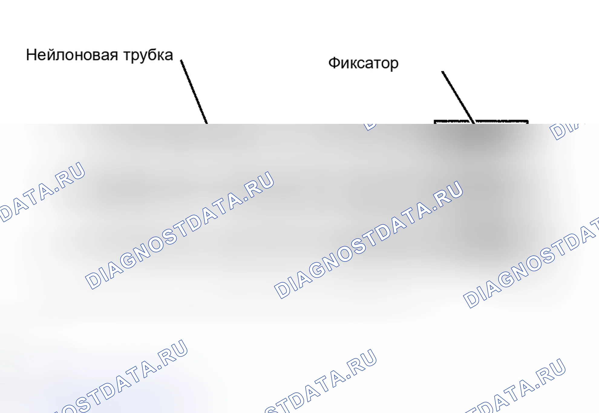 Рис. 77. Toyota Tacoma II