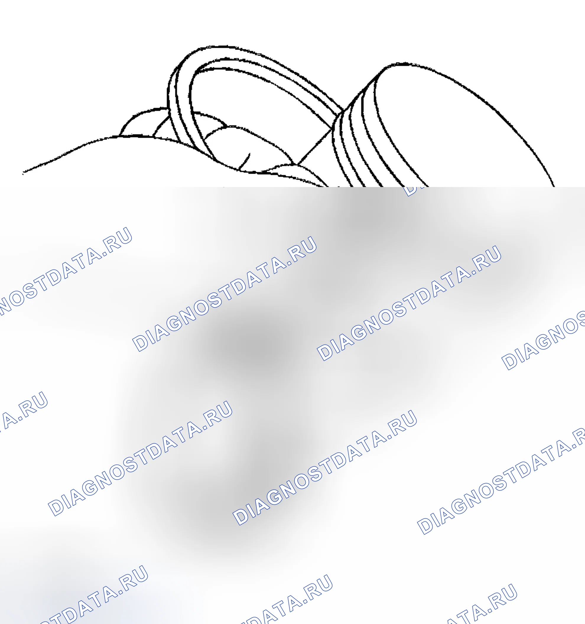 Рис. 1416. Chevrolet Chevy Express H2500 
