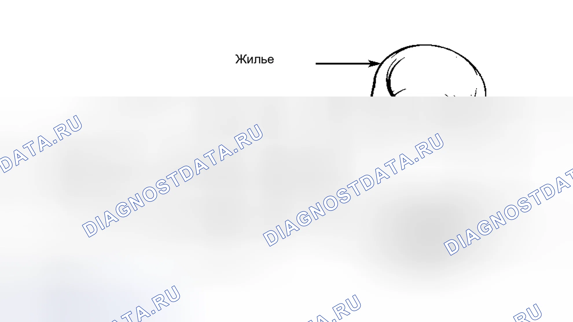Рис. 2. Hyundai Elantra III