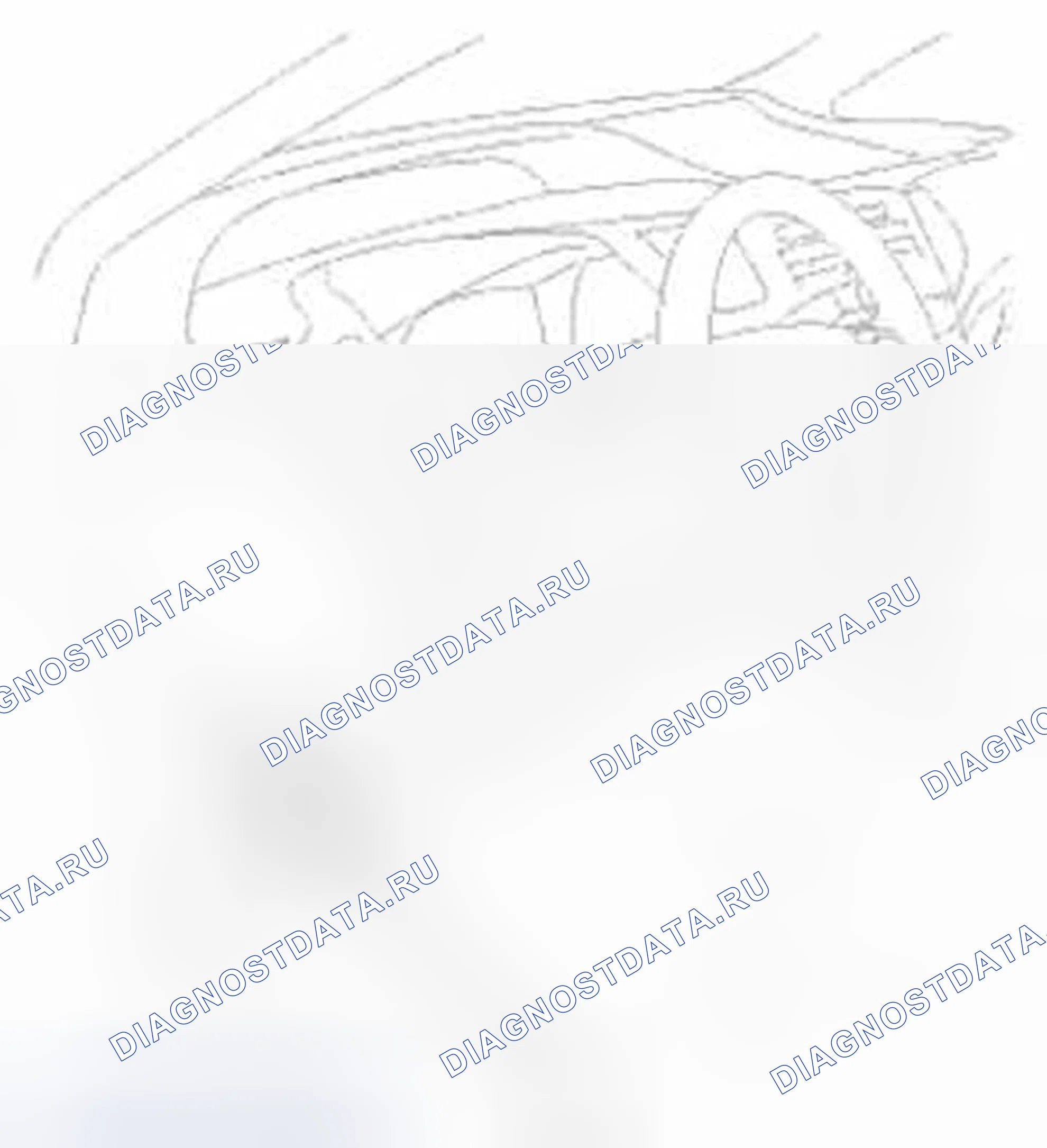 Рис. 985. Honda Civic IX