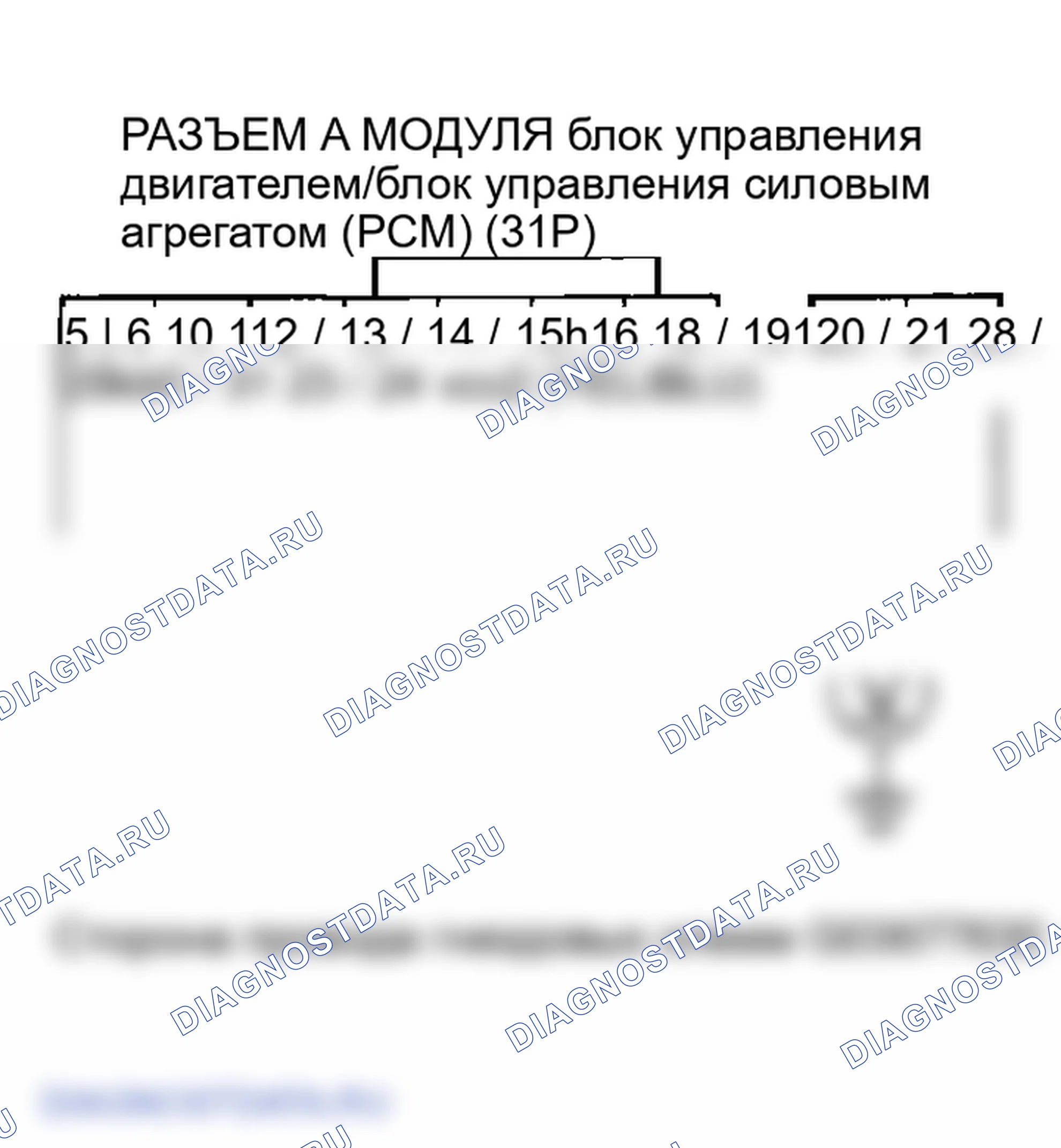 Рис. 33. Honda Element I
