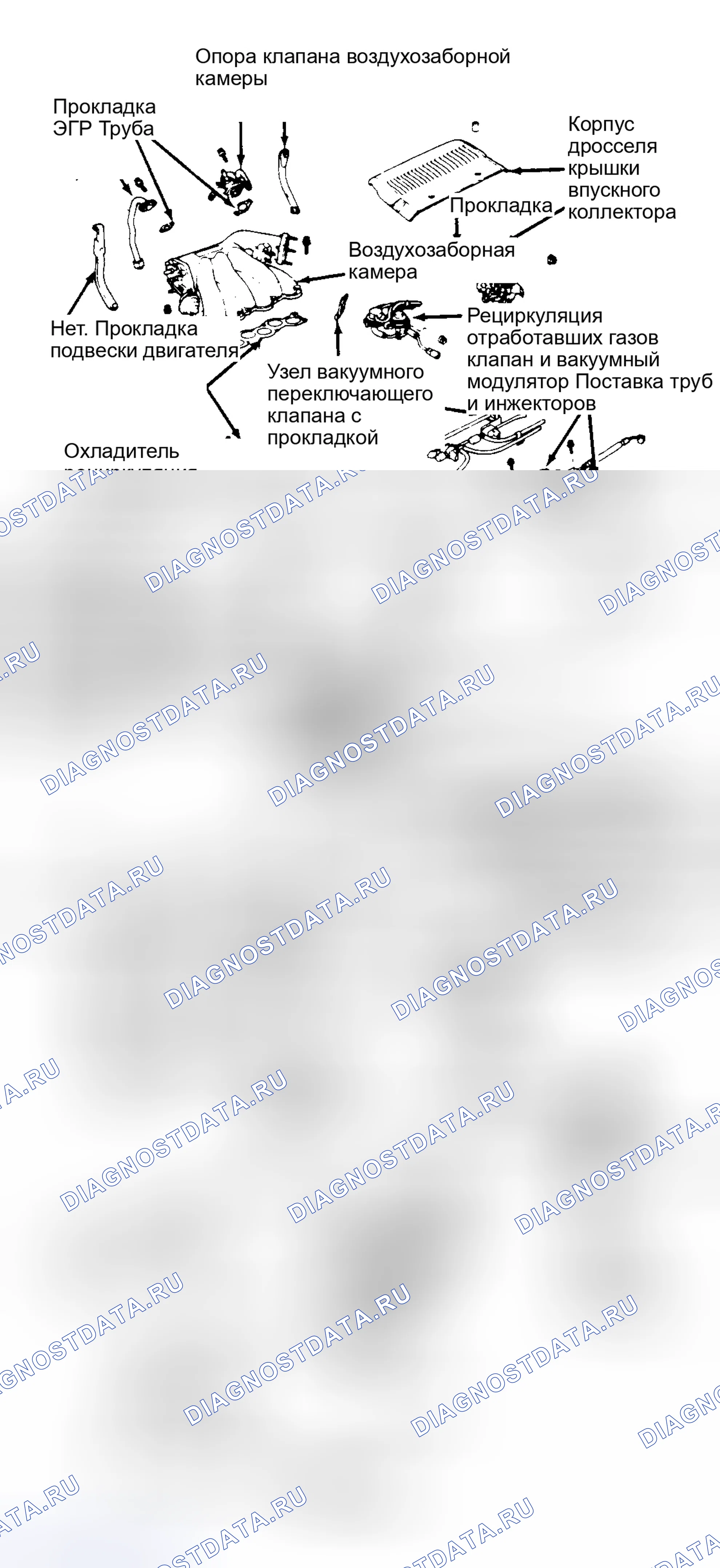 Рис. 13. Lexus ES XV10