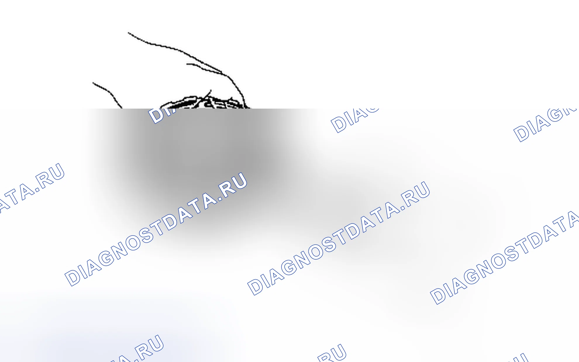 Рис. 904. Toyota 4Runner V