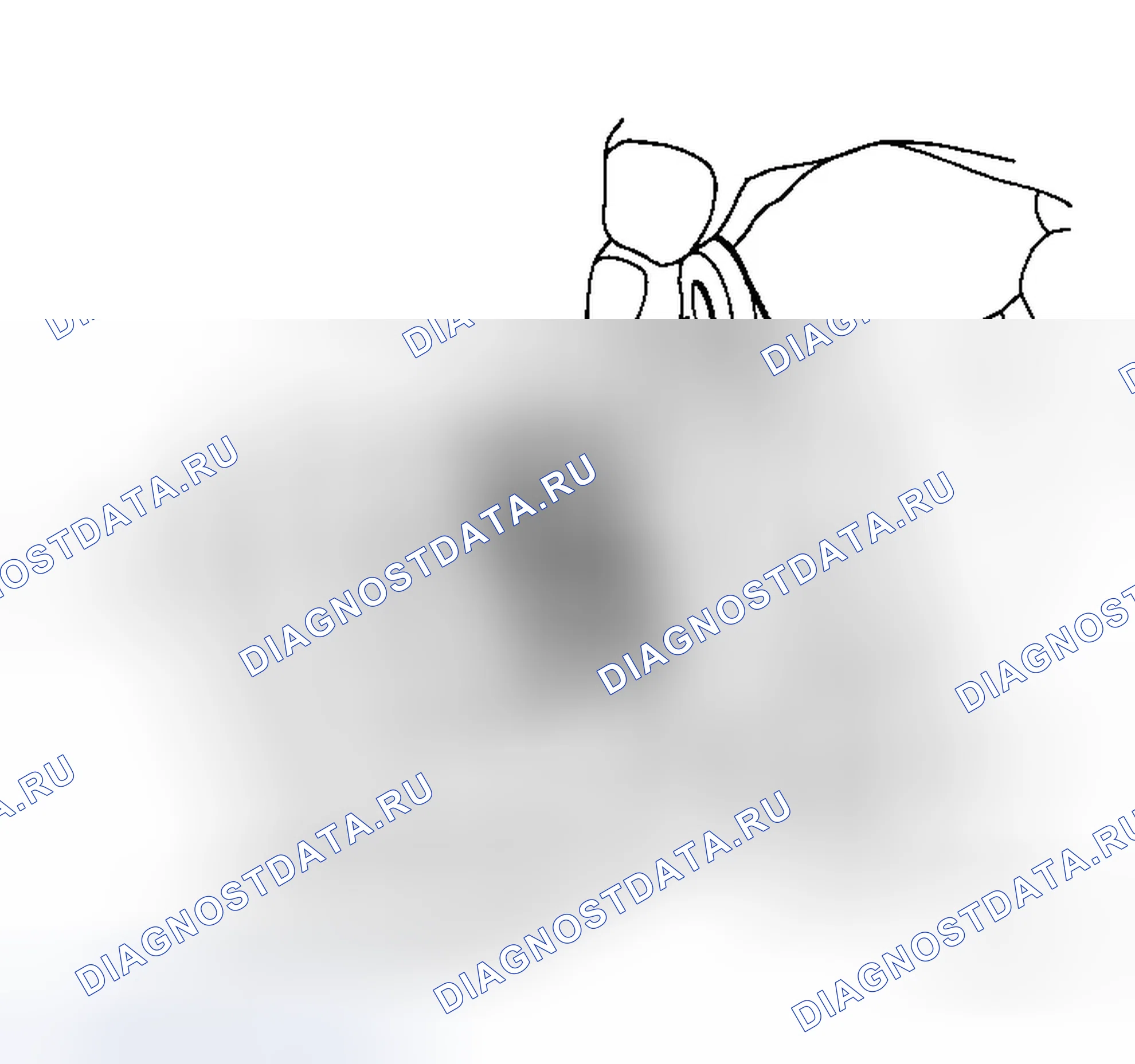 Рис. 18. Infiniti M35 III