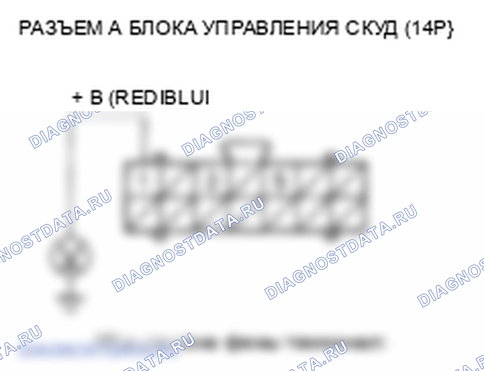 Рис. 26: Индикатор TPMS не гаснет, и коды неисправностей не сохраняются. Honda Element YH2 рестайлинг 2