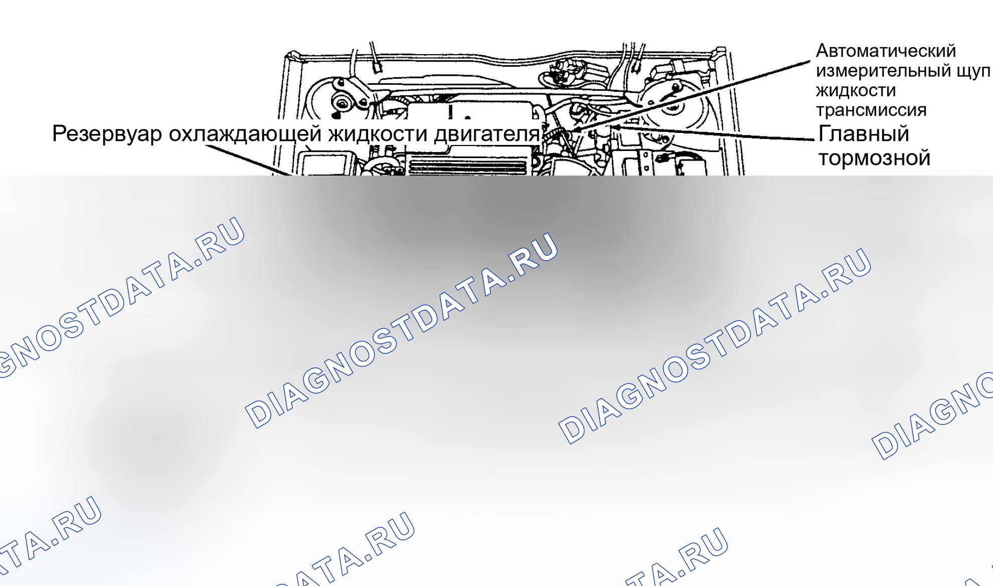 Рис. 6: РАСПОЛОЖЕНИЕ ТОЧЕК ОБСЛУЖИВАНИЯ. Hyundai ix20 I