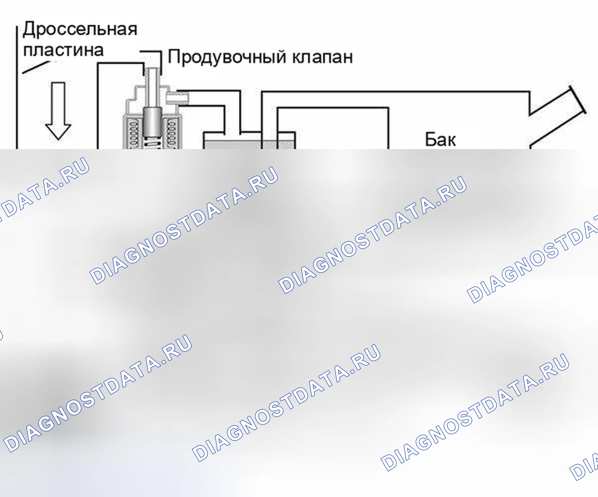 Рис. 87: Фаза 1 - эталонное измерение. BMW M5 E39