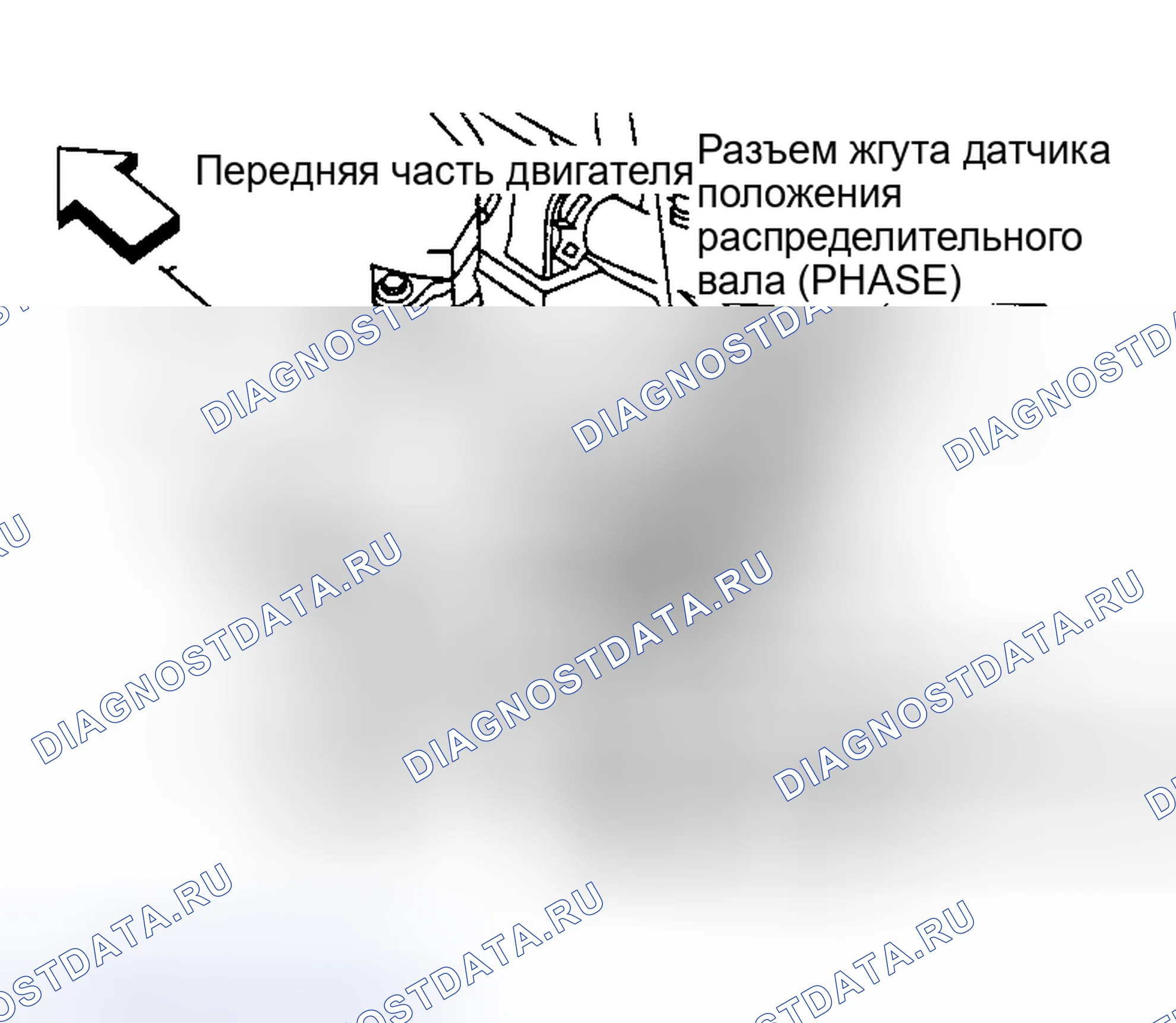 Рис. 43. Nissan Altima L31
