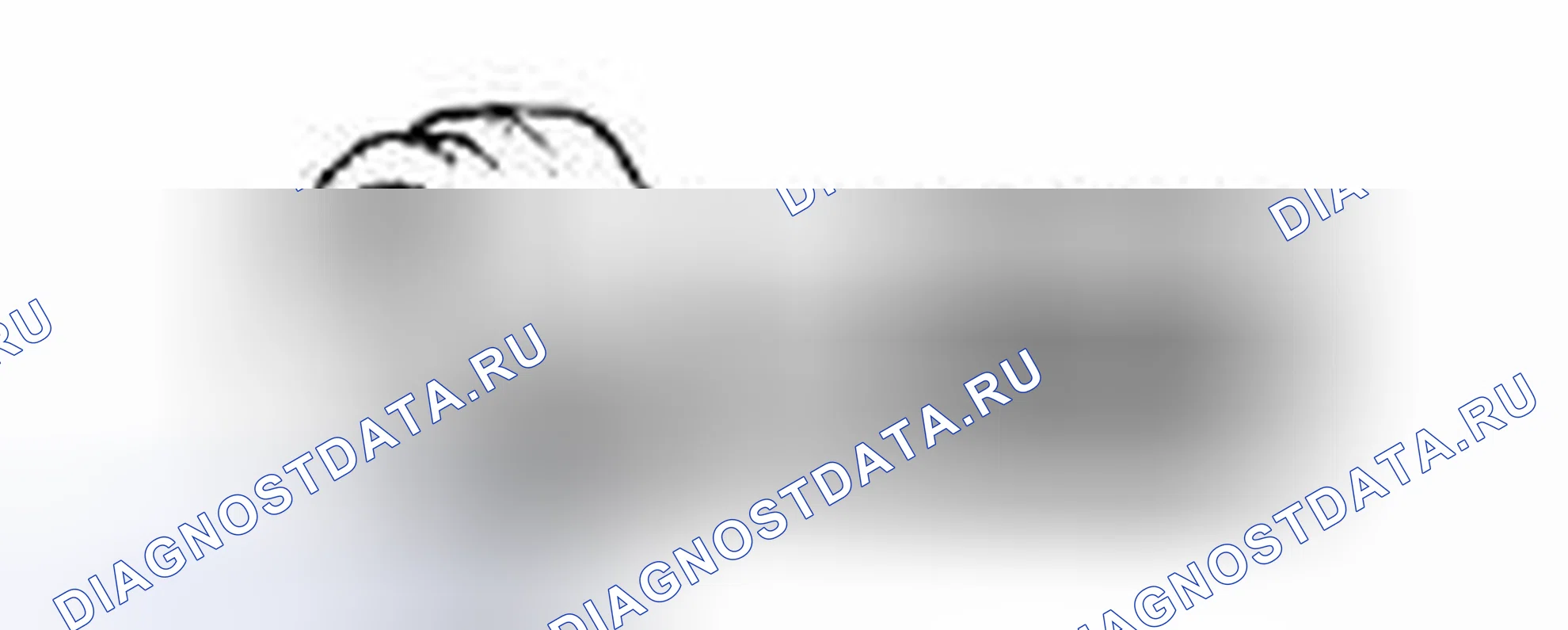 Рис. 10. Toyota Venza I