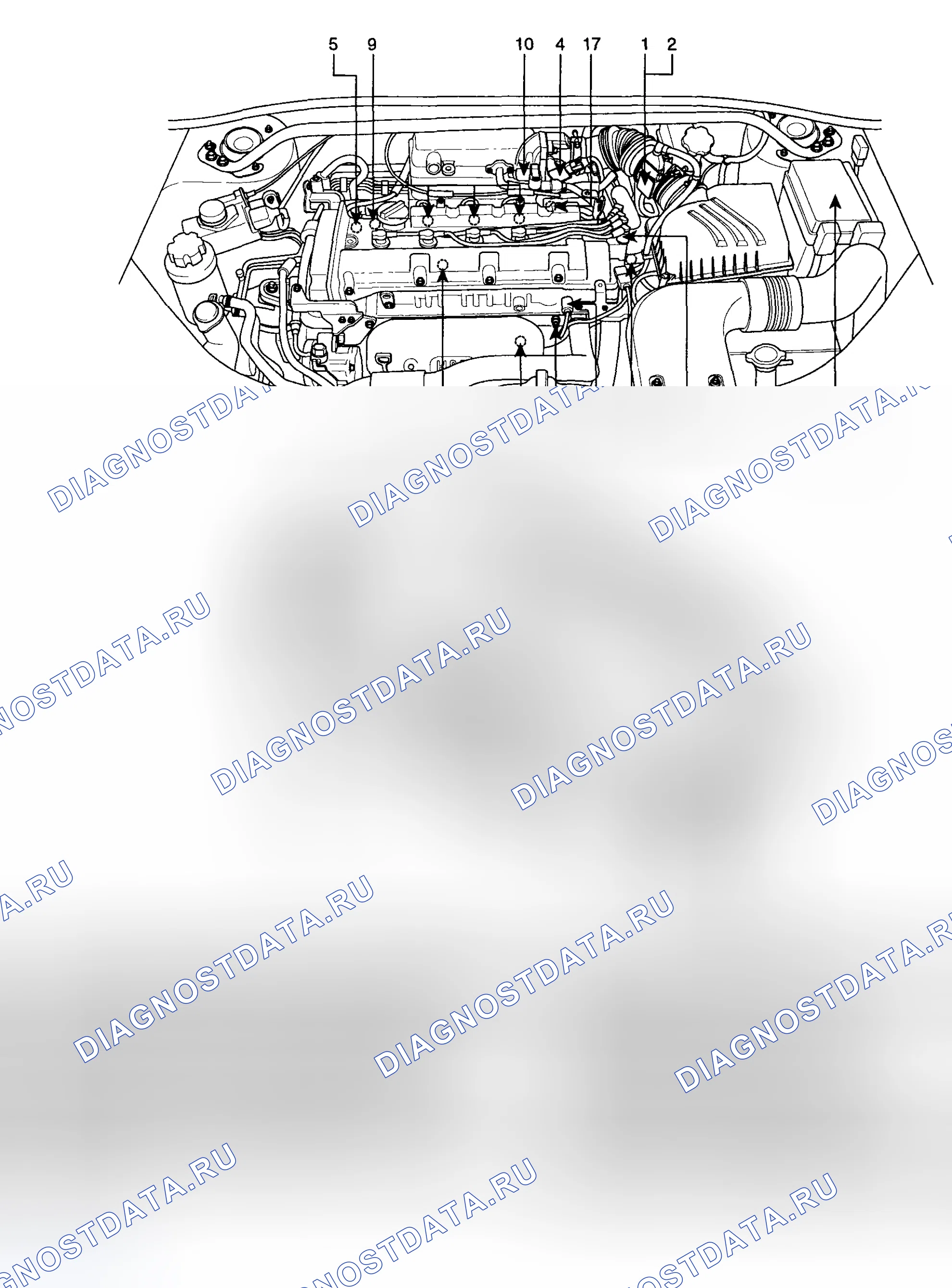 Рис. 3: РАСПОЛОЖЕНИЕ КОМПОНЕНТОВ. Kia Sportage II