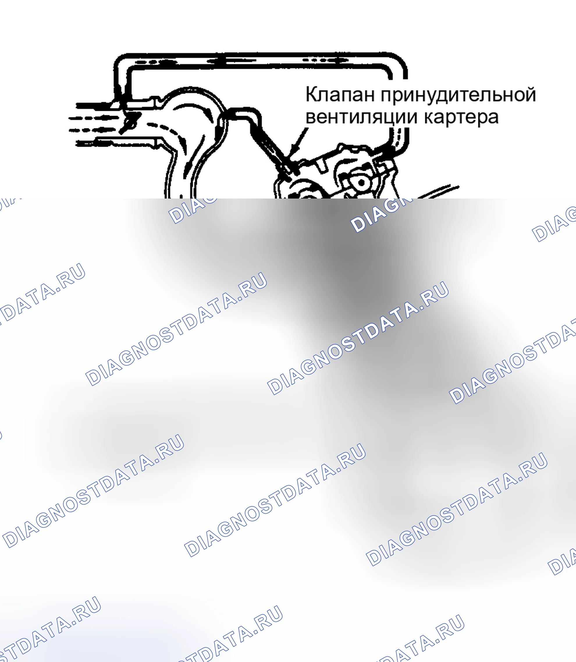 Рис. 8: ПРИНУДИТЕЛЬНАЯ ВЕНТИЛЯЦИЯ КАРТЕРА. Toyota Supra A80