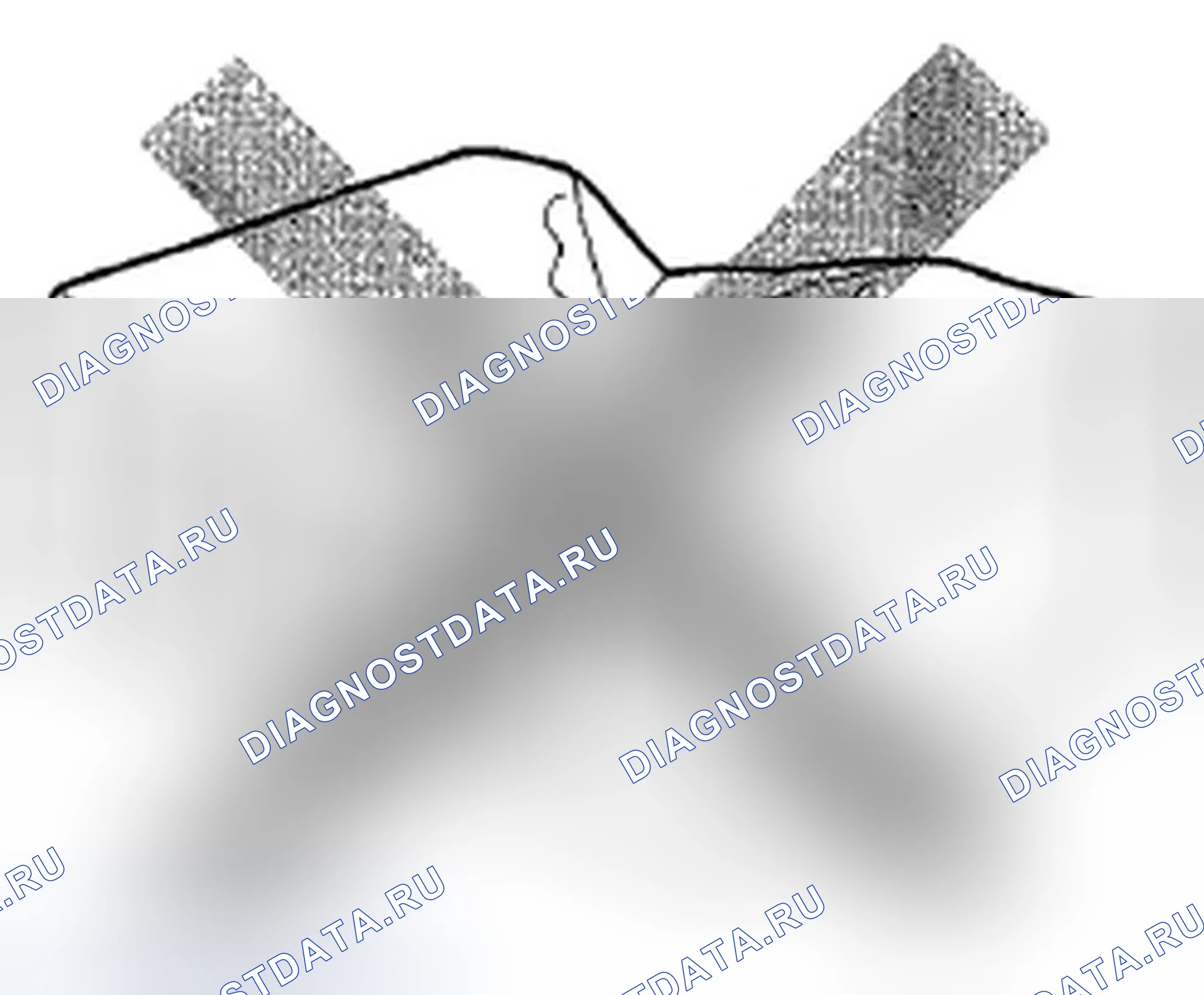 Рис. 230. Honda Crosstour I