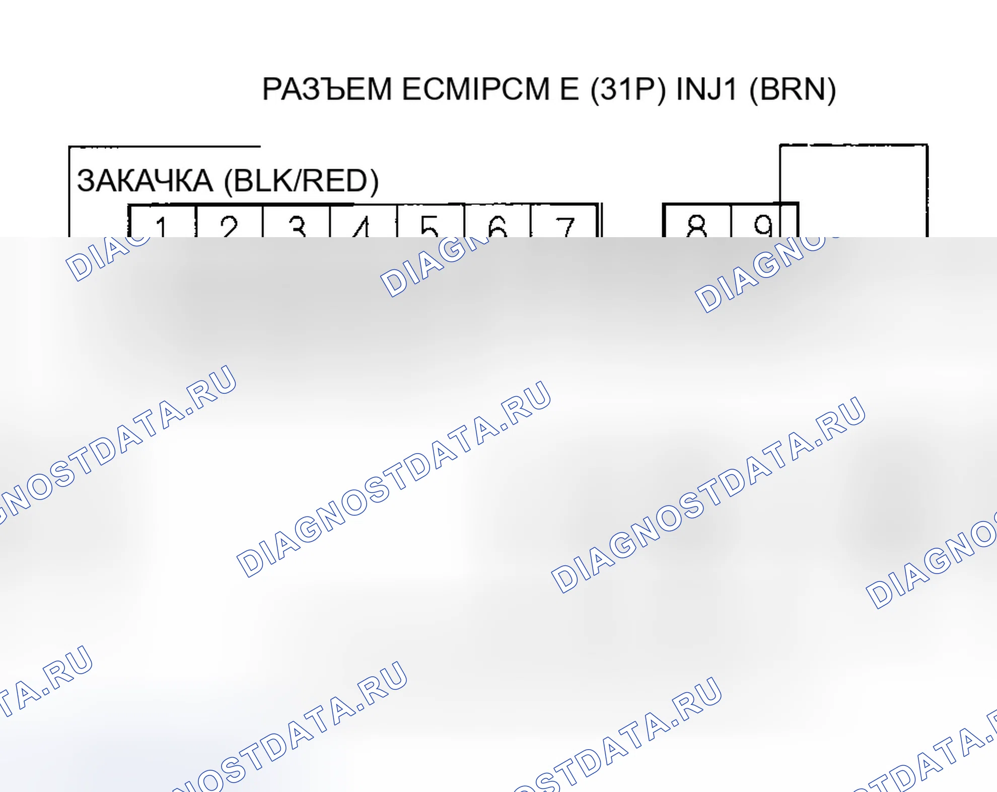 Рис. 571. Honda Accord VII рестайлинг