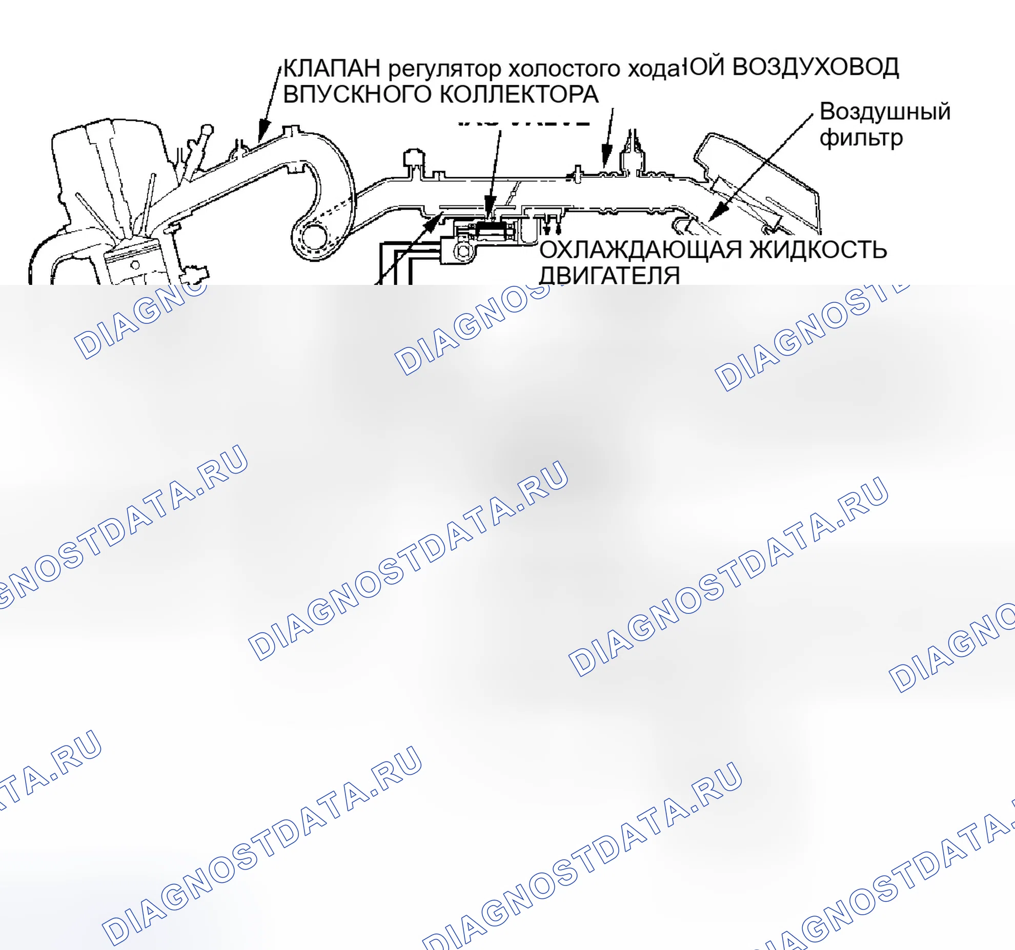 Рис. 51. Honda Element YH2